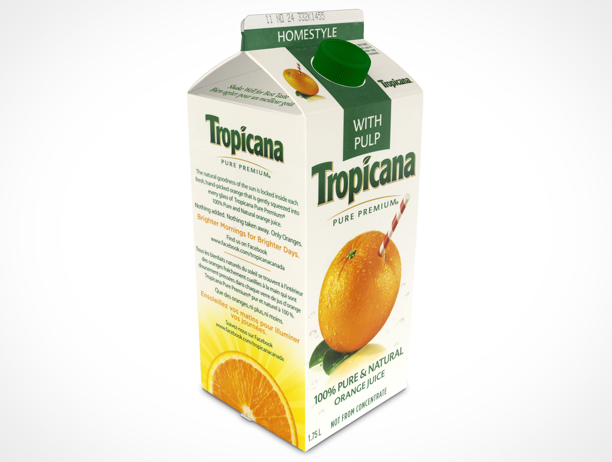 Empty 2L Carton Container template