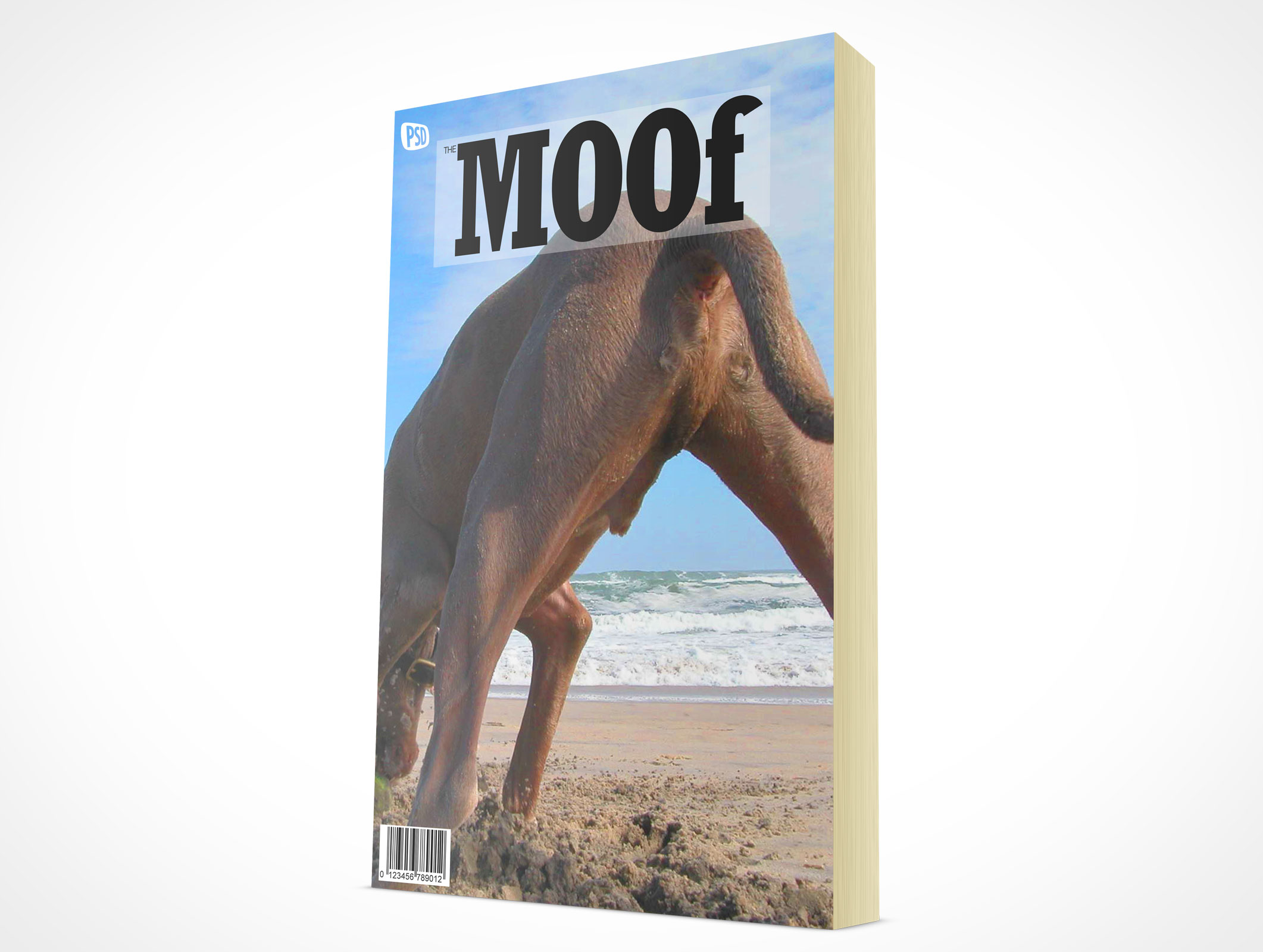 Standing Paperback Book Mockup 3r2