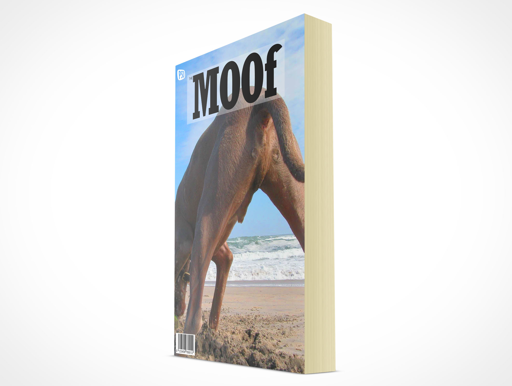 Standing Paperback Book Mockup 4r2