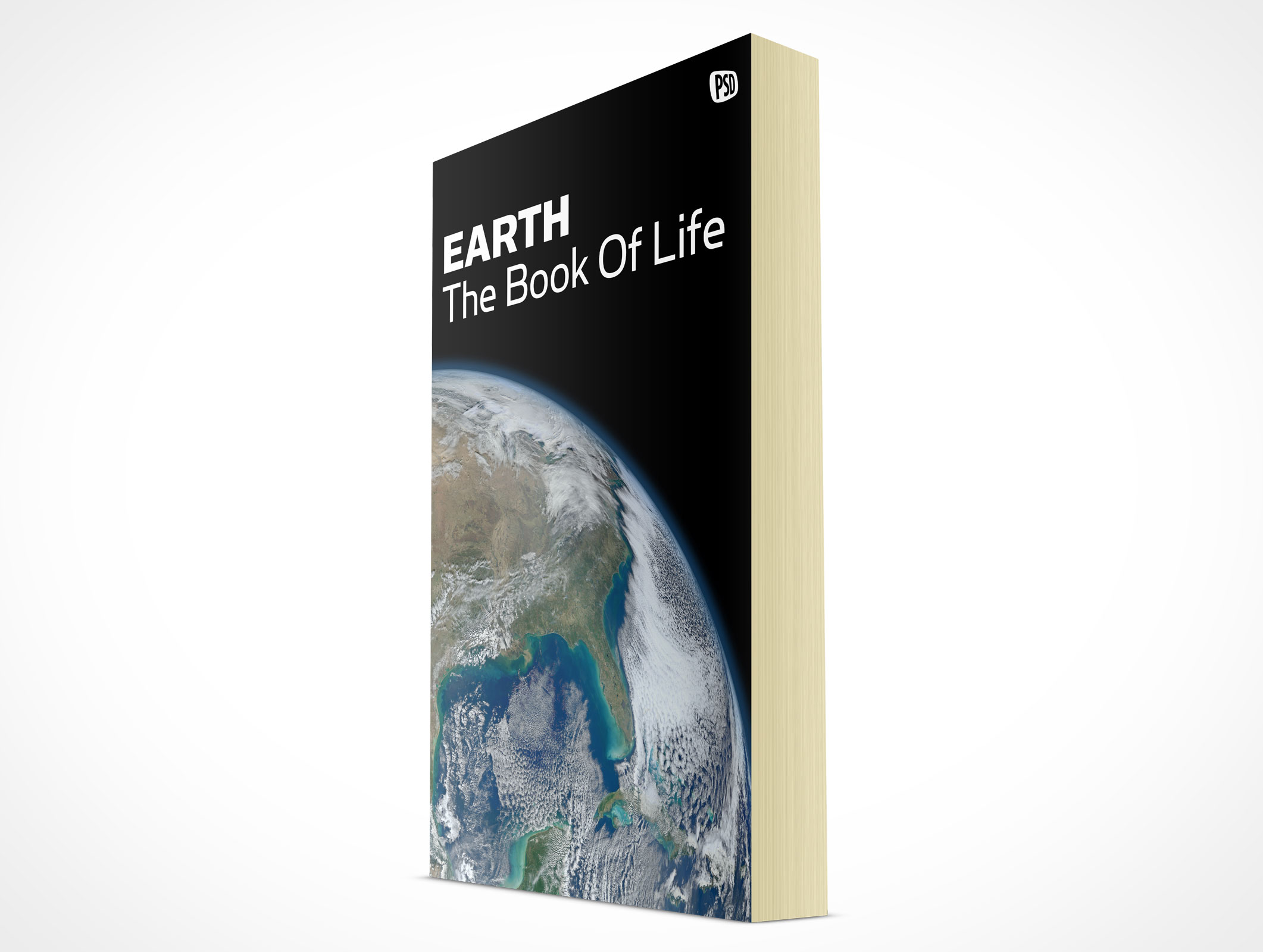 Standing Paperback Book Mockup 4r5