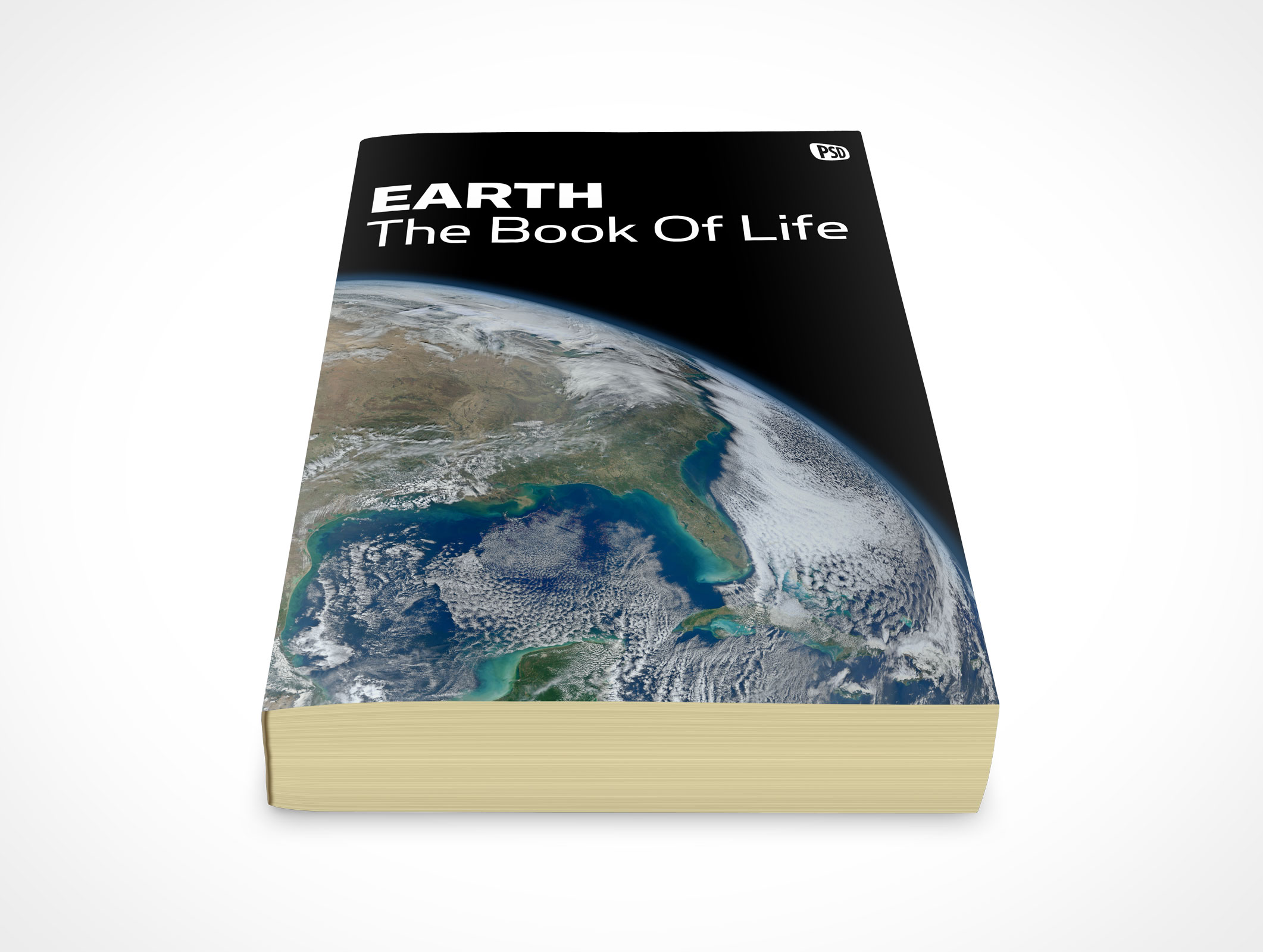 Standing Paperback Book Mockup 5r3