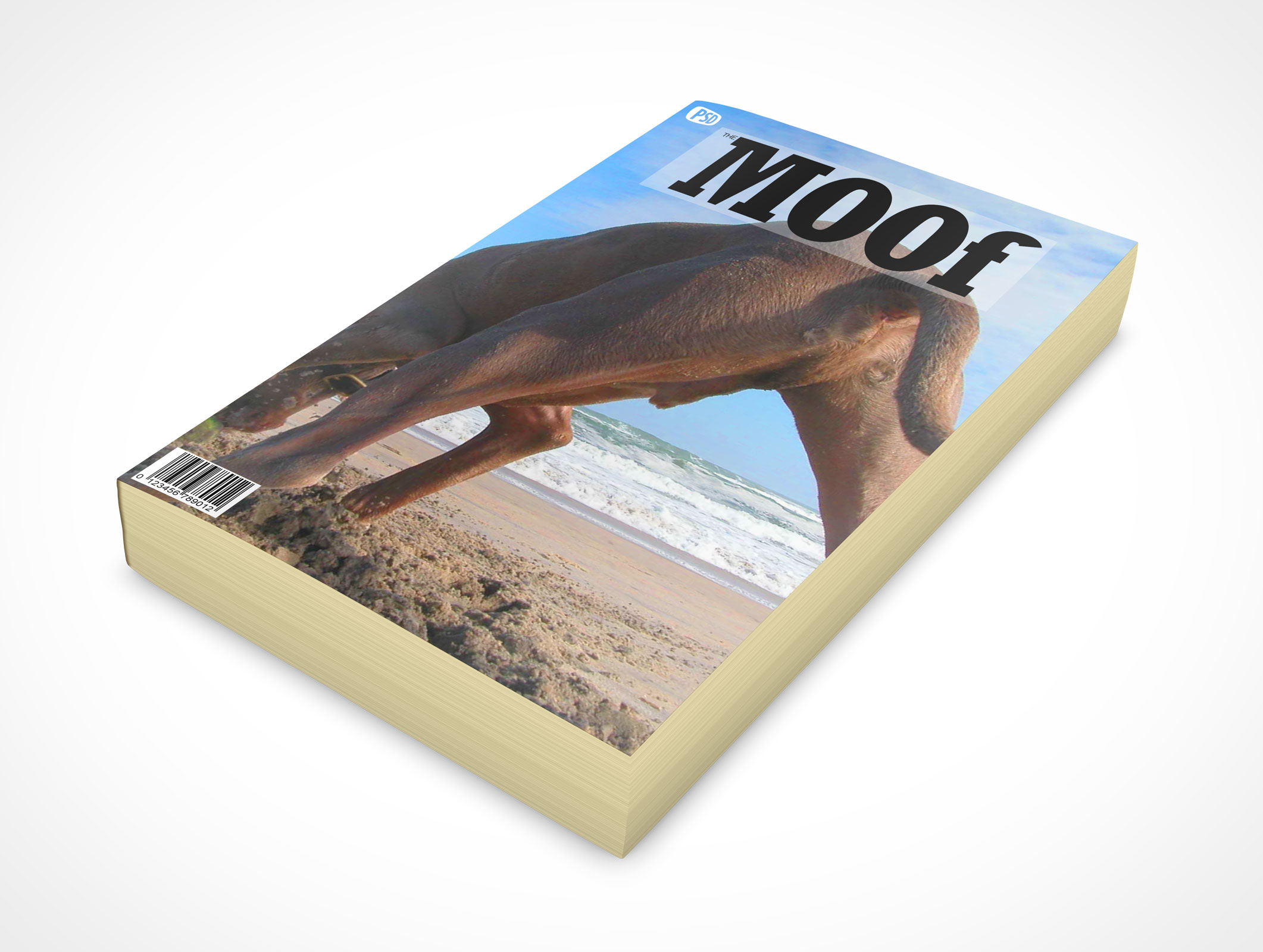 Faceup Paperback Book Mockup 6r5
