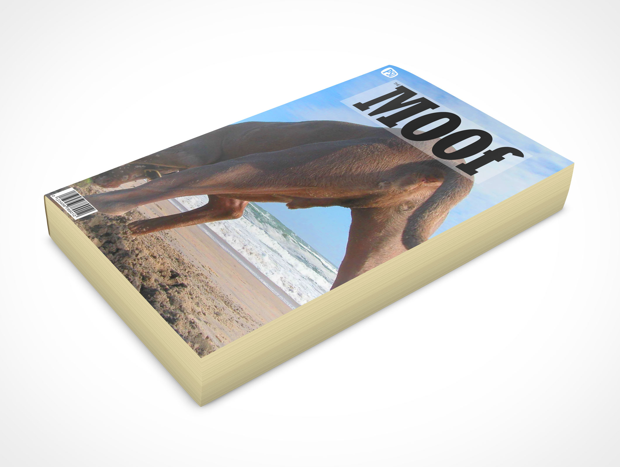 Faceup Paperback Book Mockup 7r2