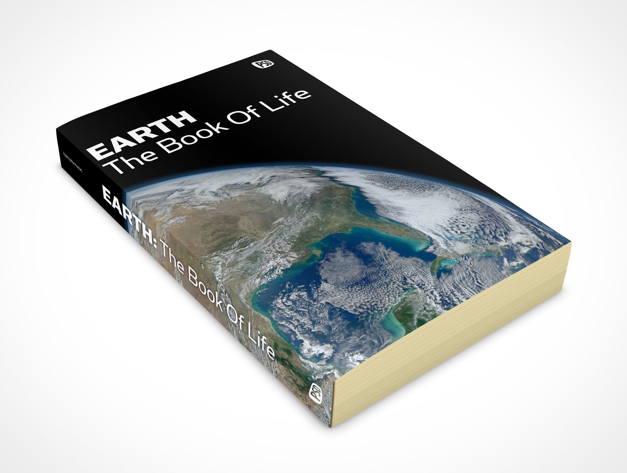 Faceup Paperback Book Mockup 9r3