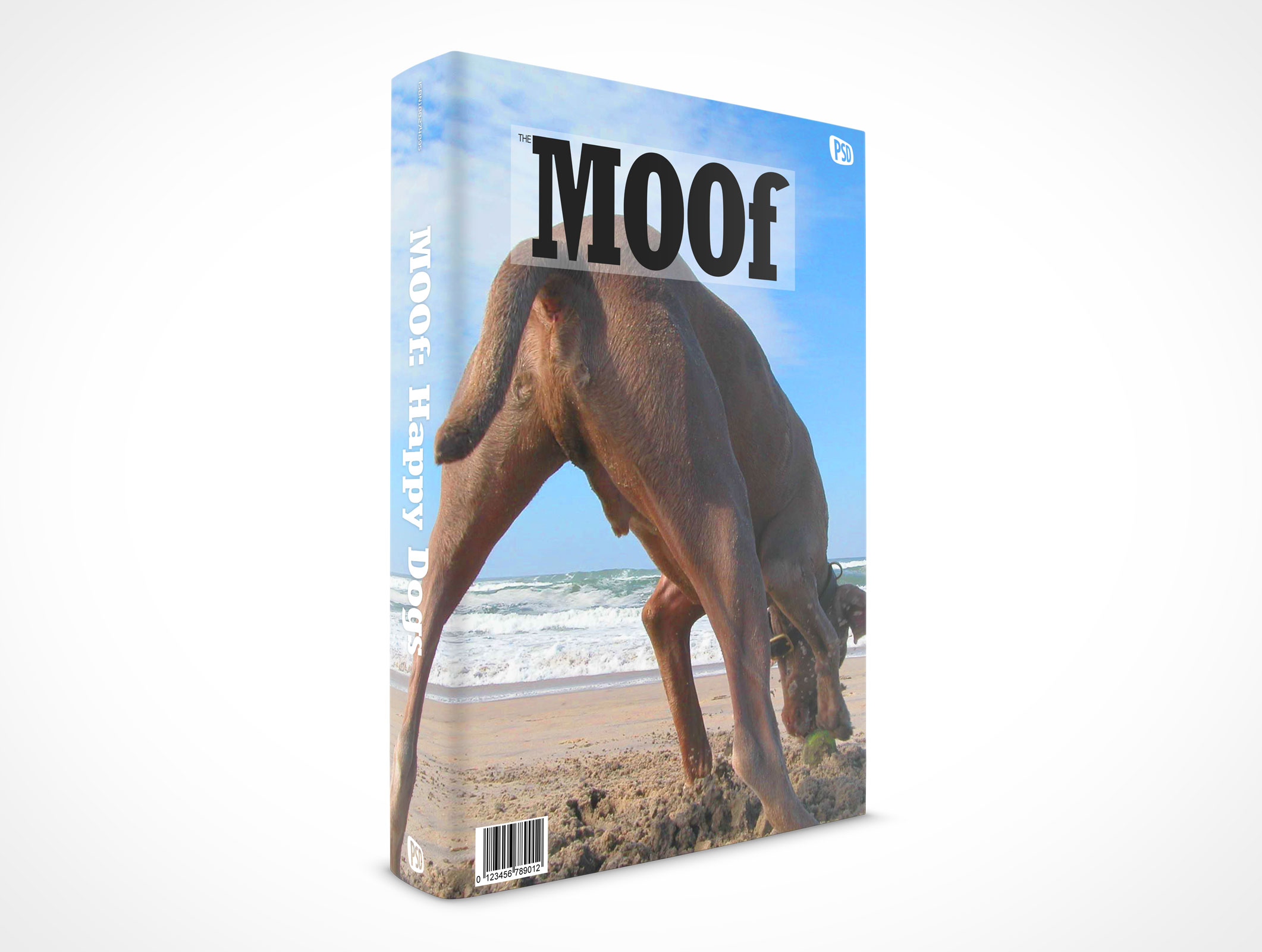 Sleeved Hardcover Book Mockup 2r5