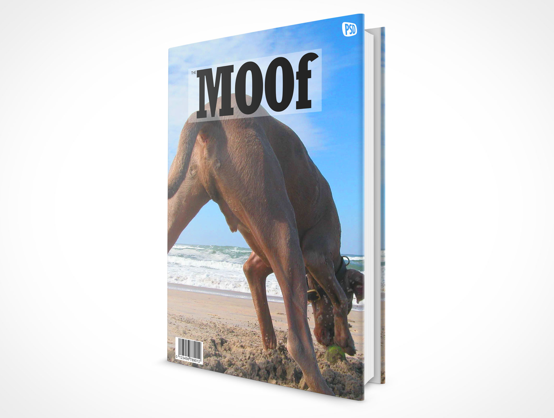 Sleeved Hardcover Book Mockup 3r5
