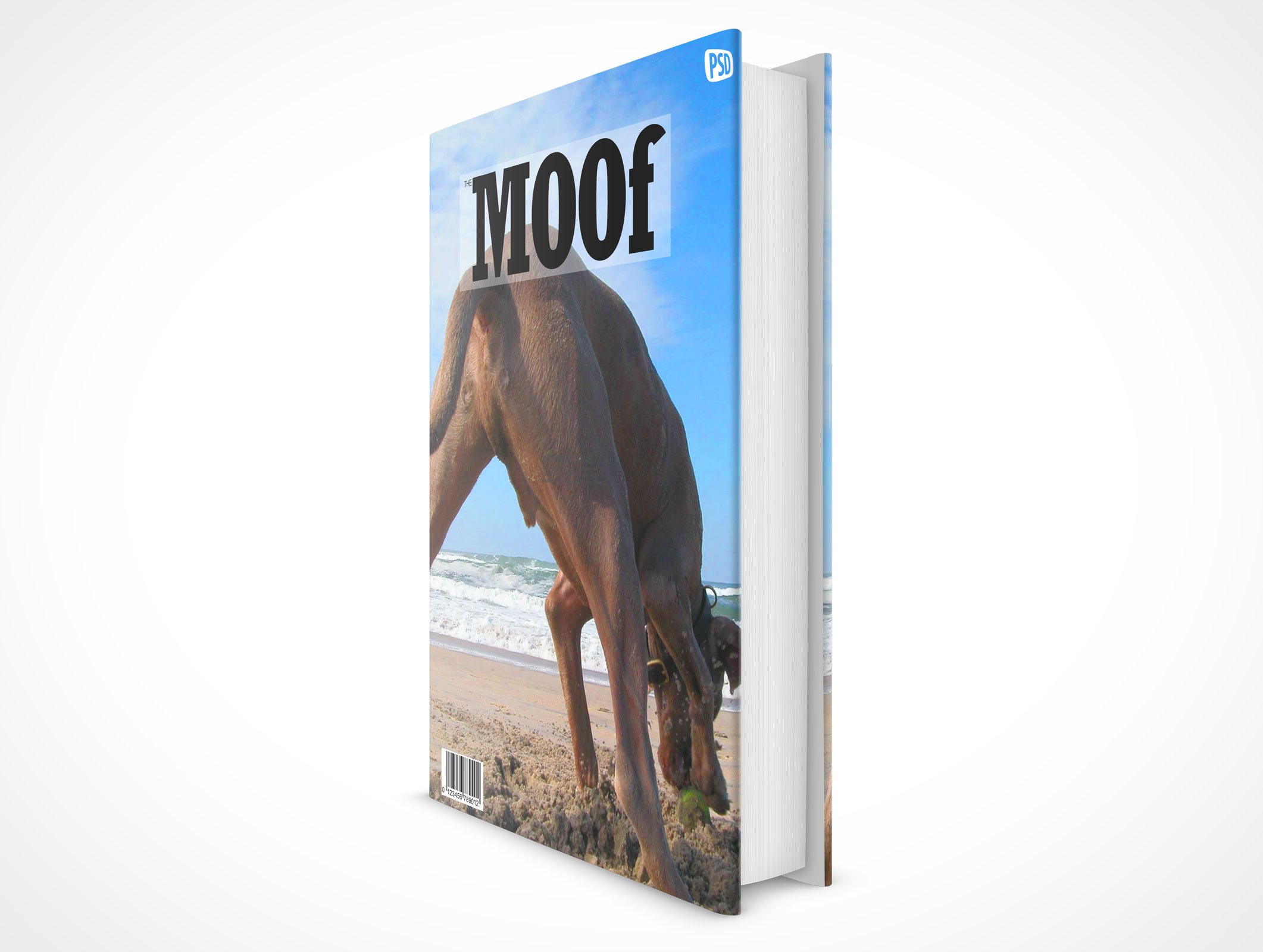 Sleeved Hardcover Book Mockup 4r5
