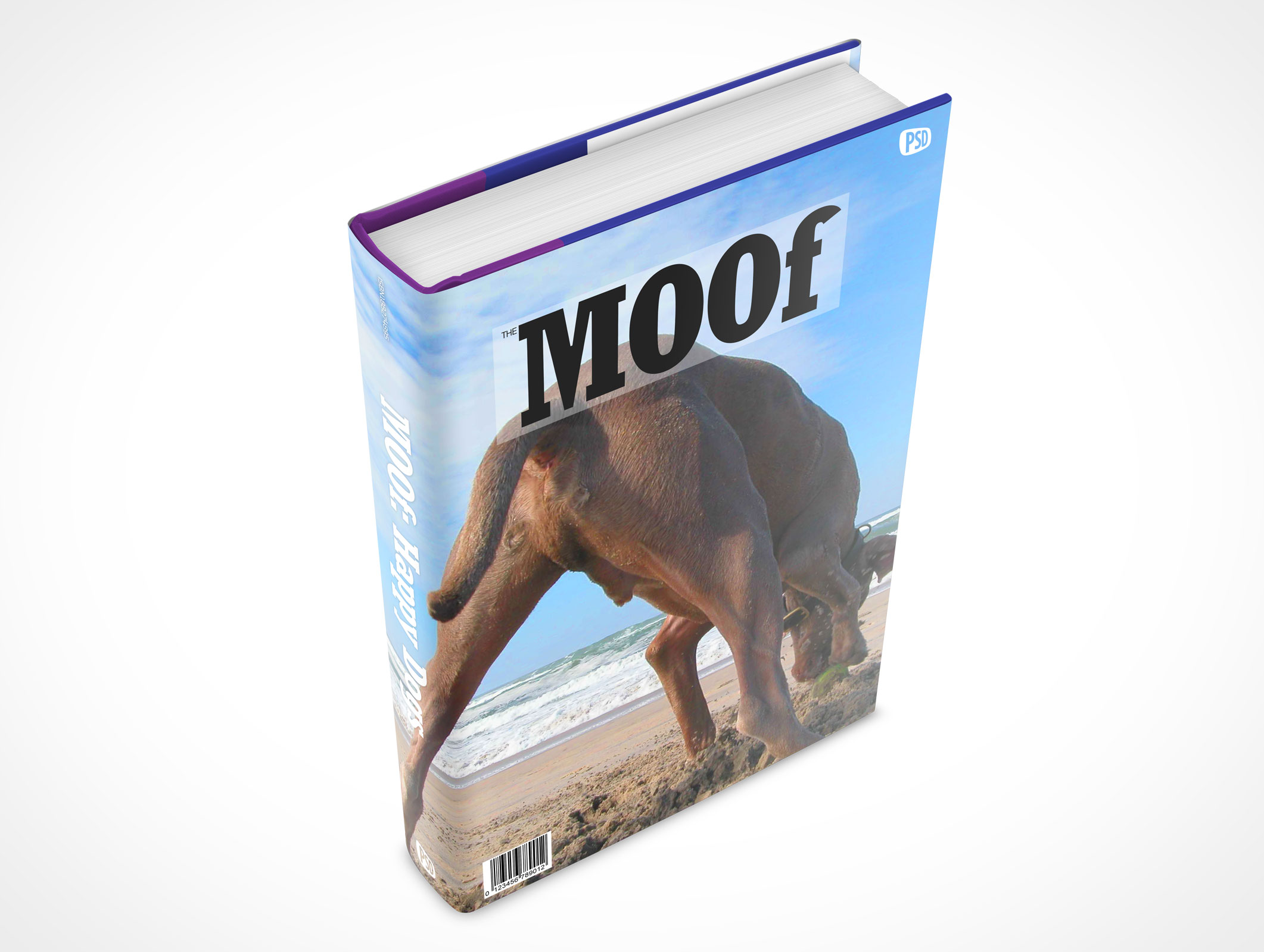Sleeved Hardcover Book Mockup 6r5
