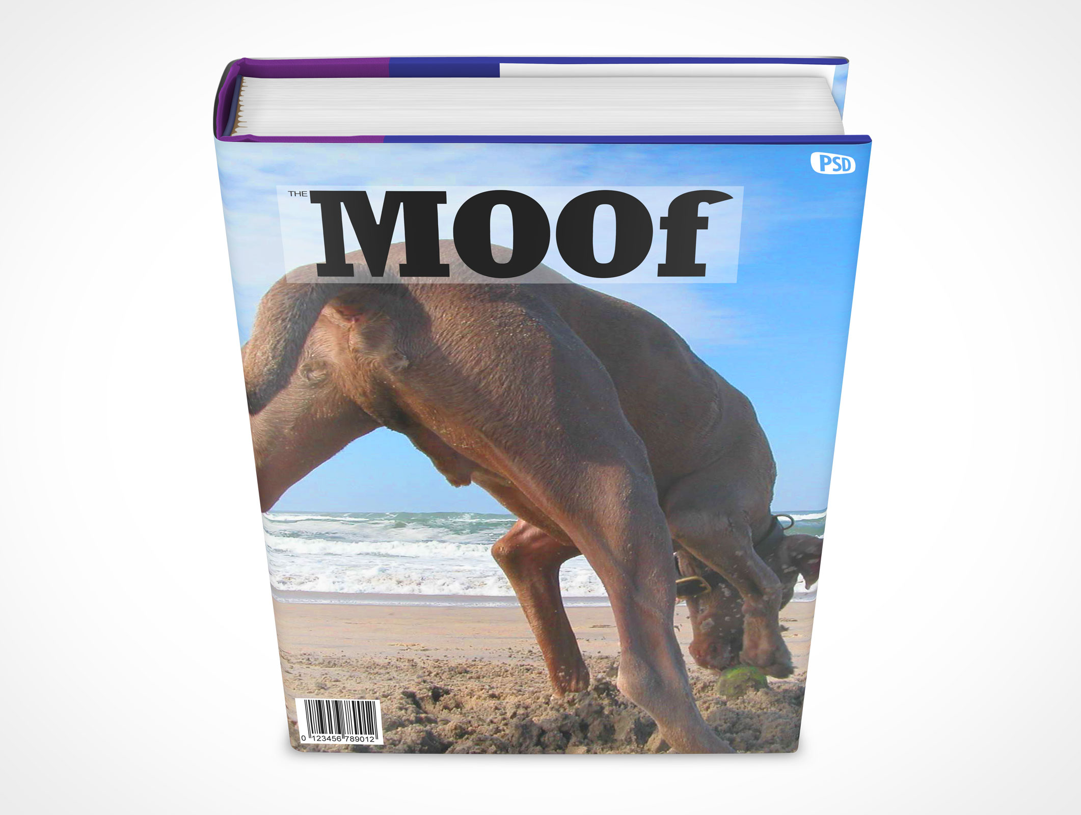 Sleeved Hardcover Book Mockup 7r5