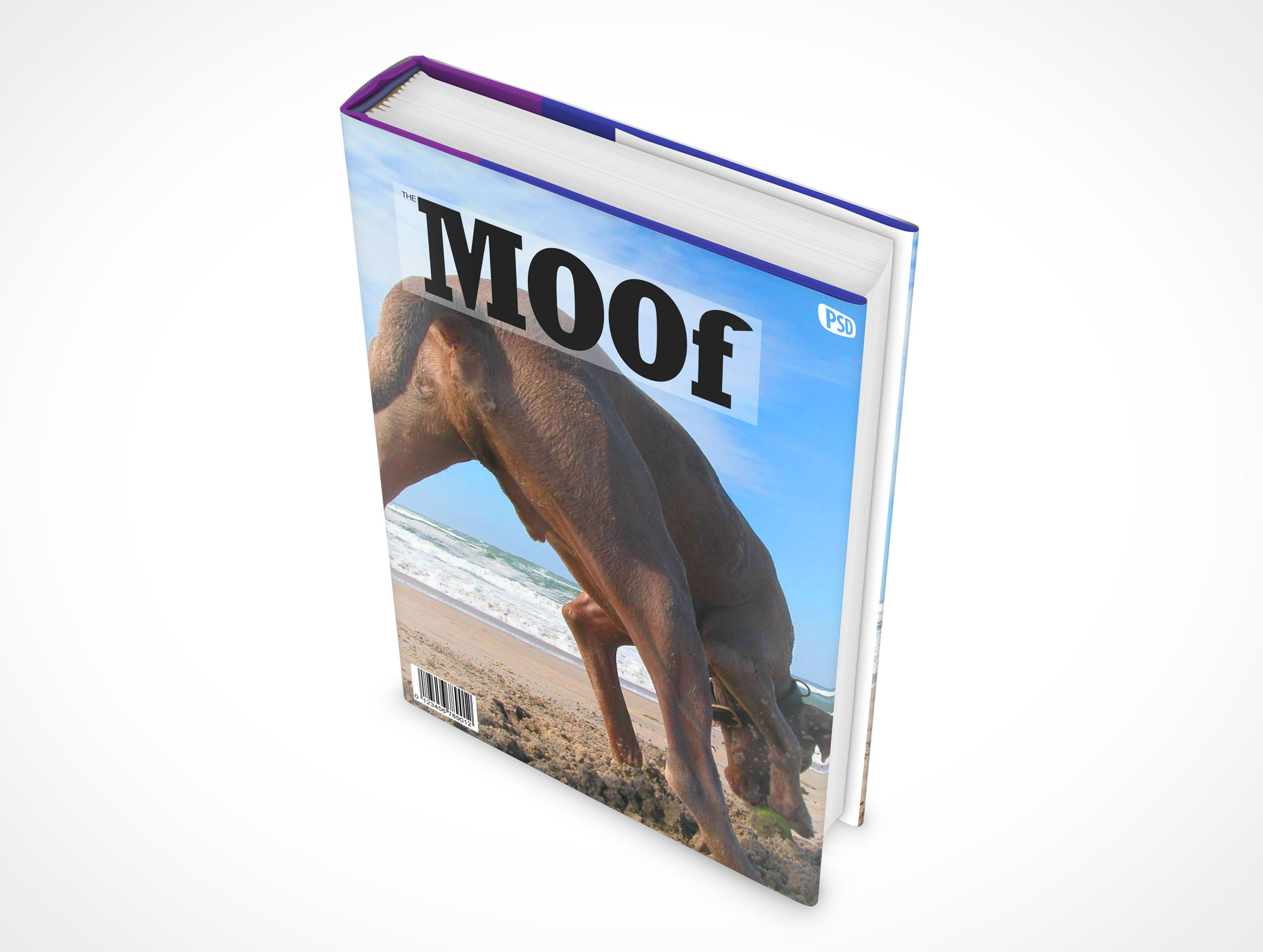Sleeved Hardcover Book Mockup 8r2