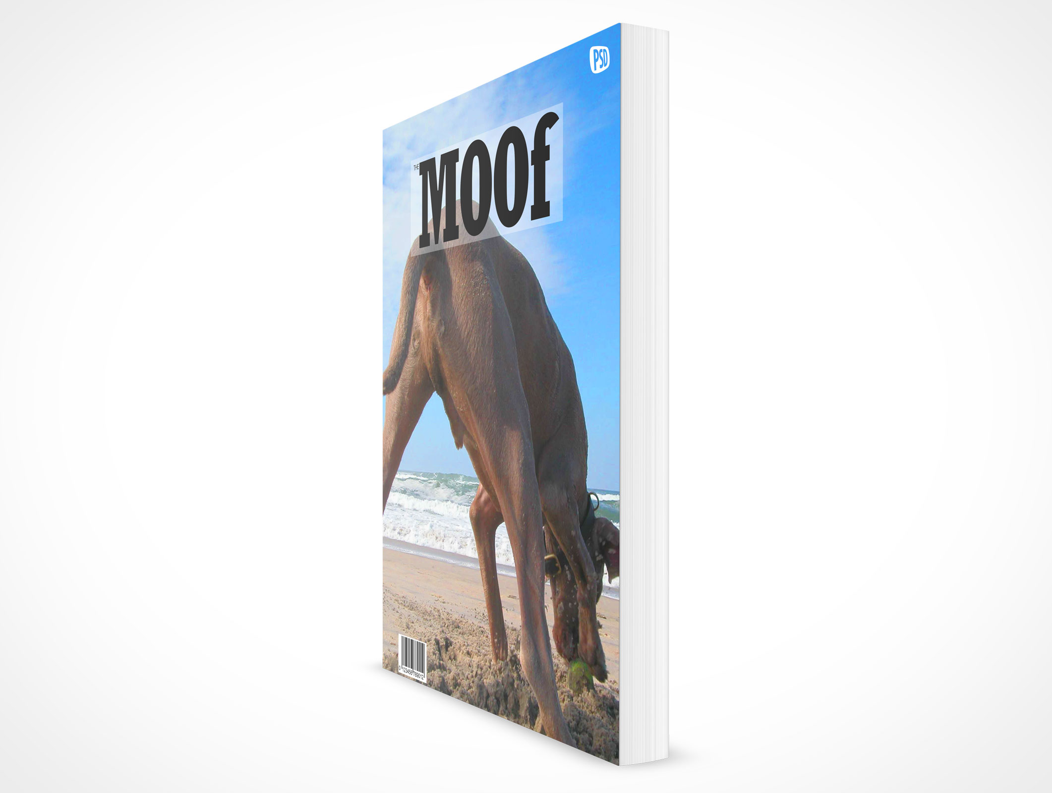 8.5 X 11 Standing Softcover Mockup 3r4