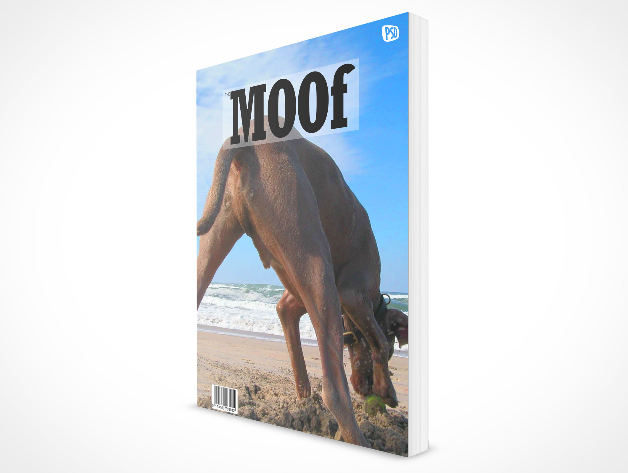 8.5 X 11 Standing Softcover Mockup 4r4