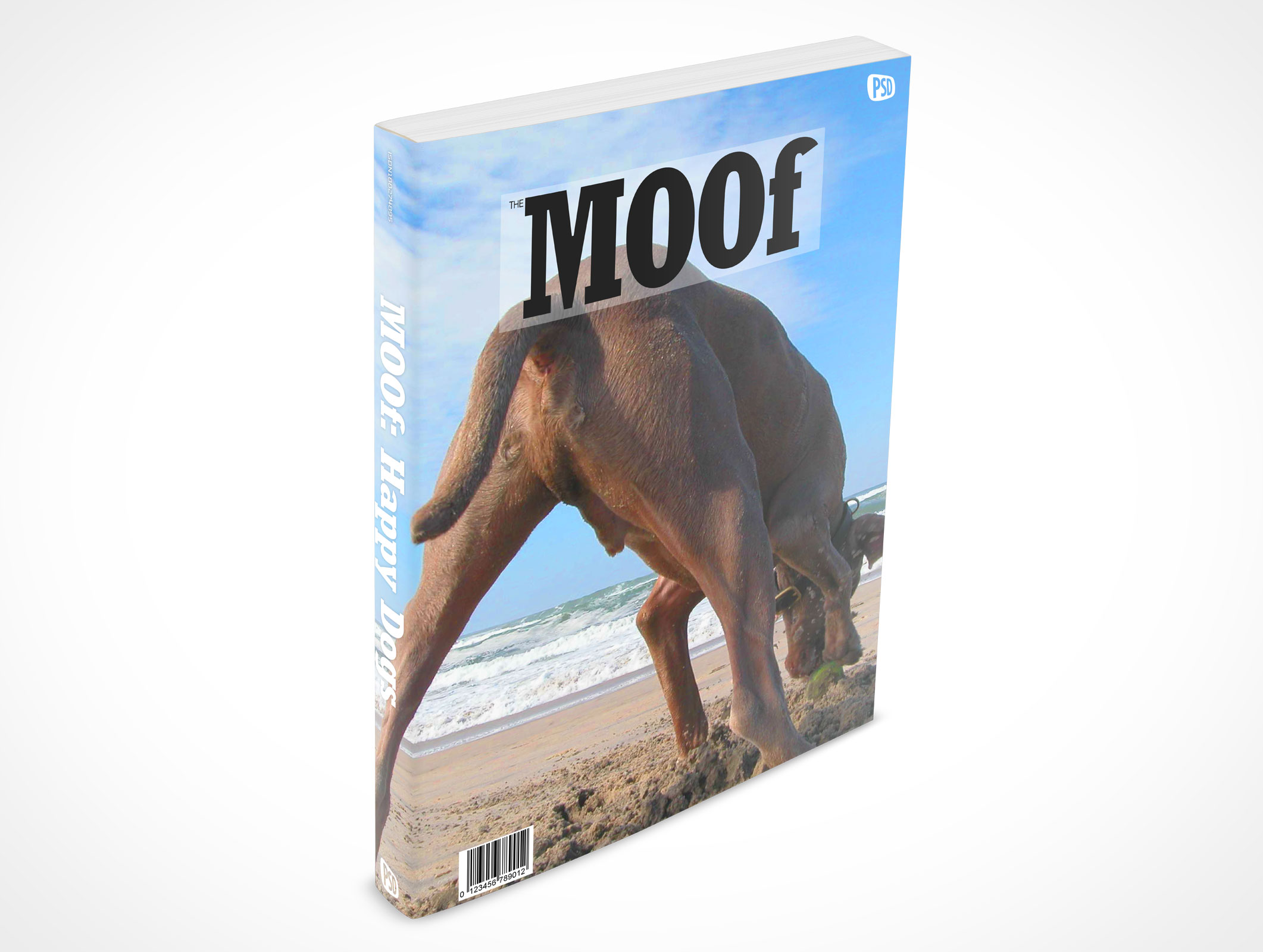 8.5 X 11 Standing Softcover Mockup 5r4