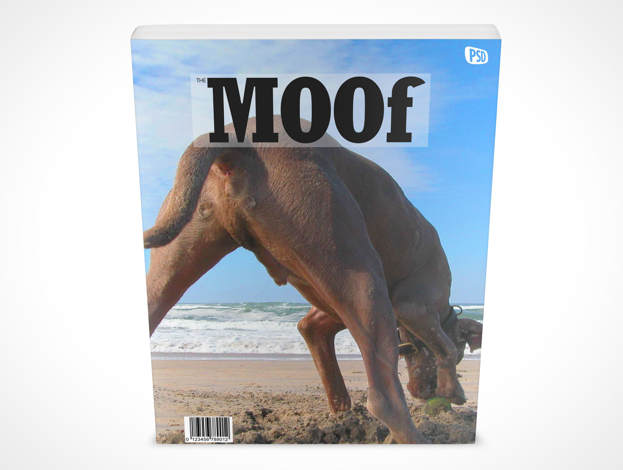 8.5 X 11 Standing Softcover Mockup 7r3