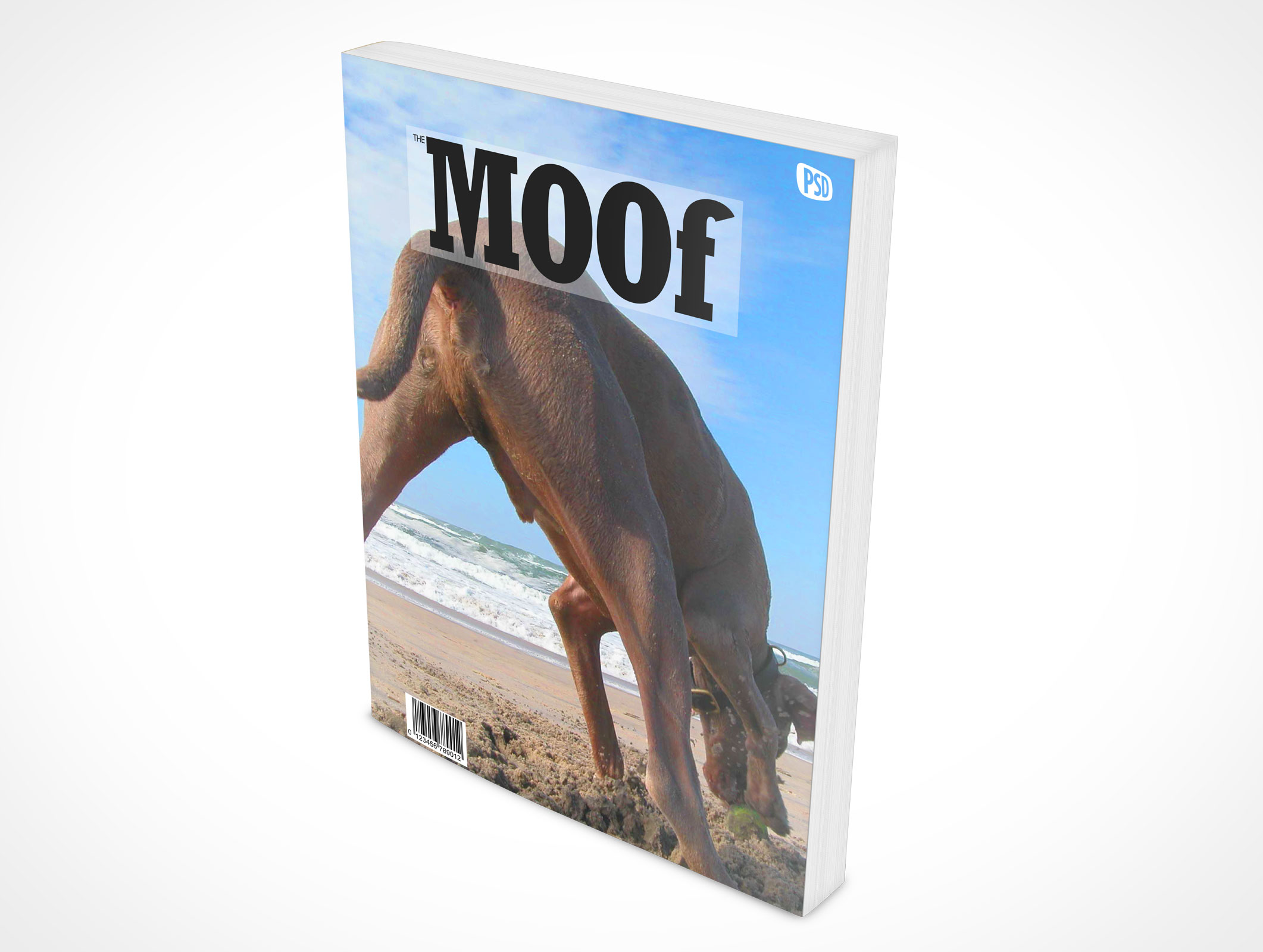 8.5 X 11 Standing Softcover Mockup 8r4
