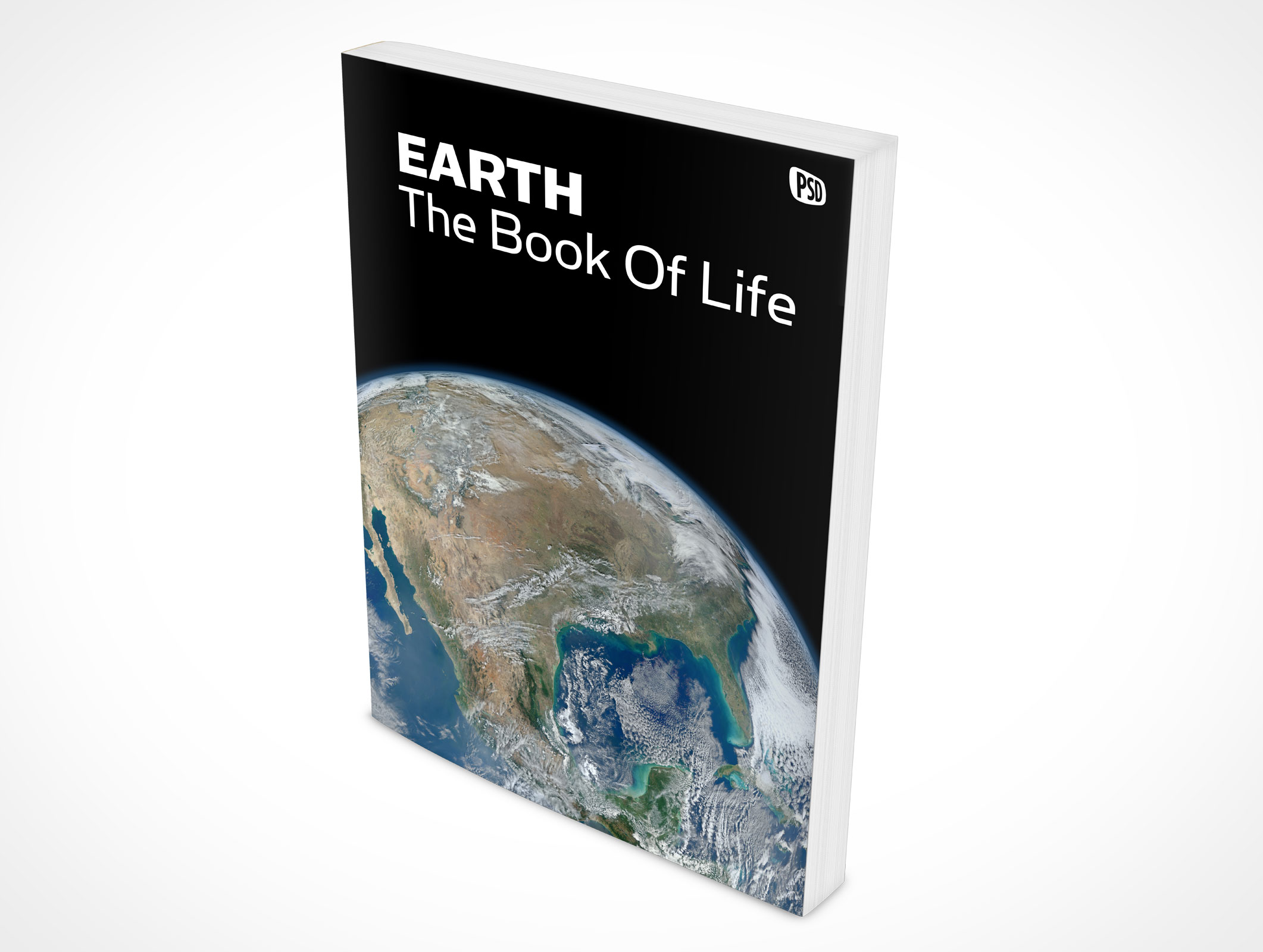 8.5 X 11 Standing Softcover Mockup 8r5