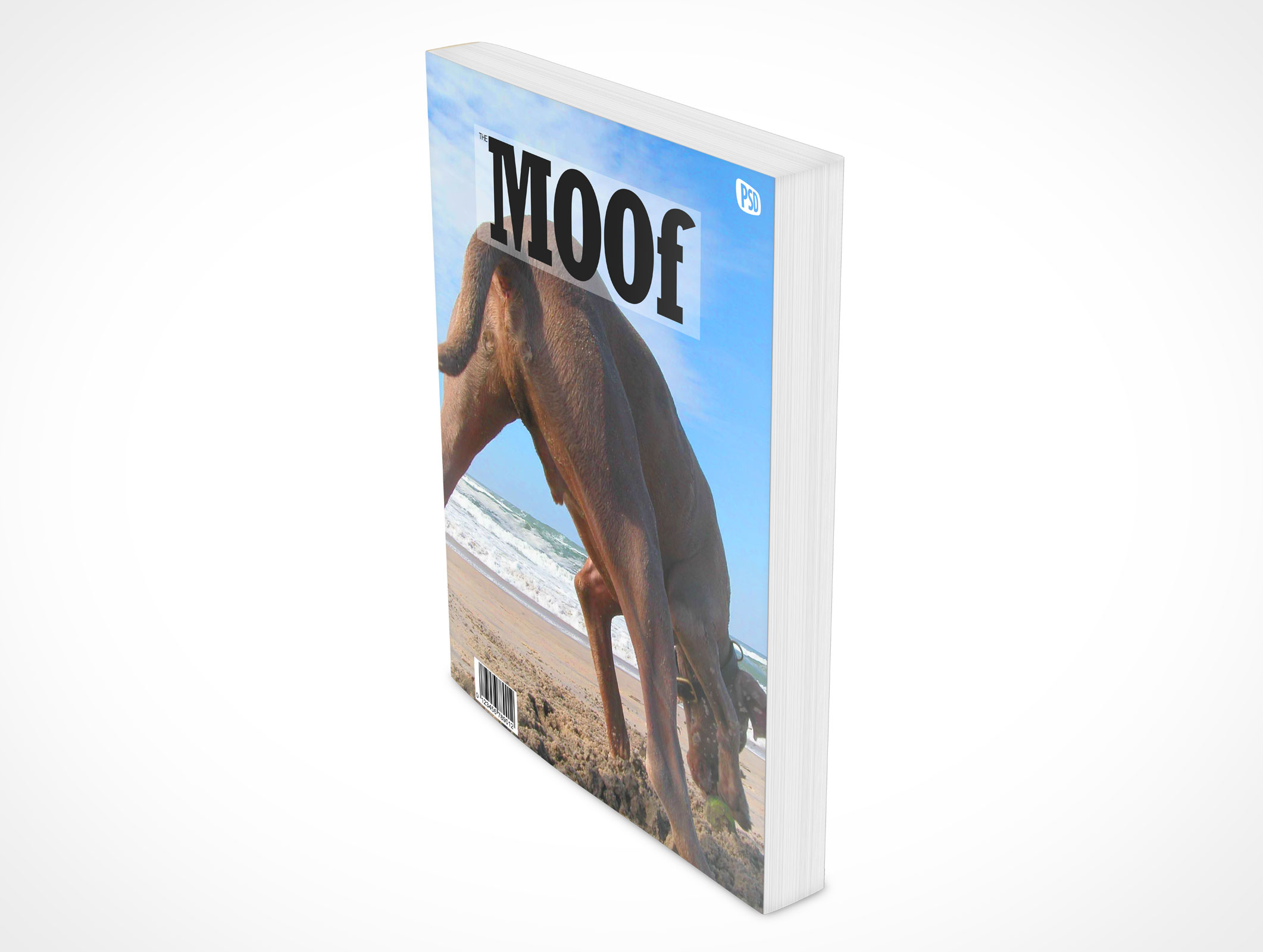 8.5 X 11 Standing Softcover Mockup 9r4
