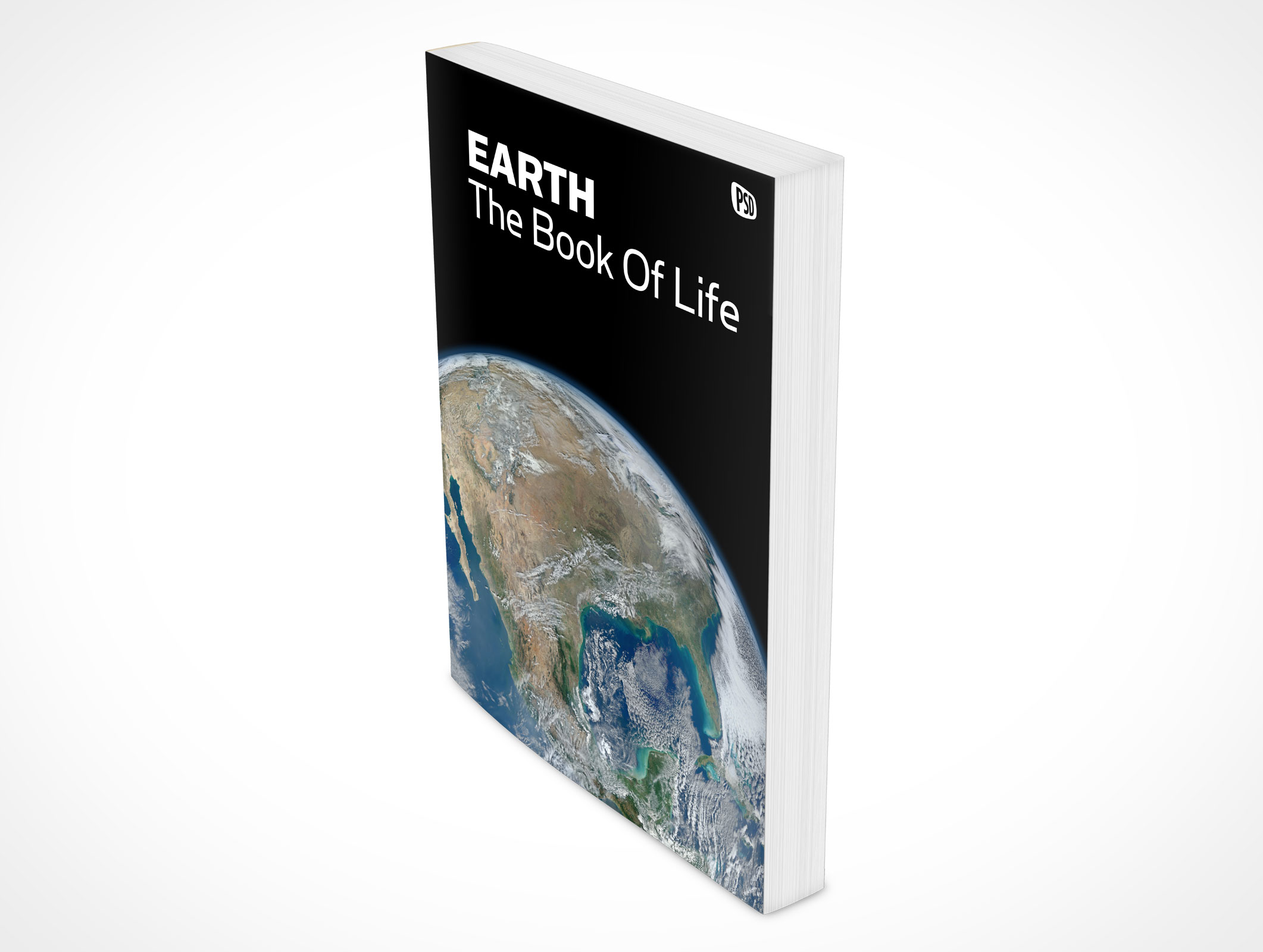8.5 X 11 Standing Softcover Mockup 9r5