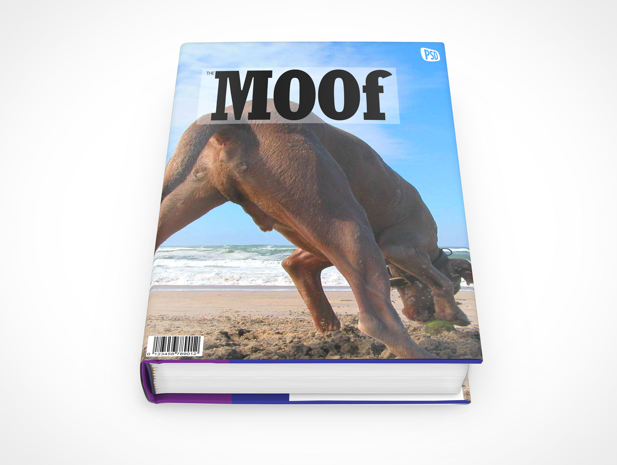 Sleeved Hardcover Book Mockup 11r2