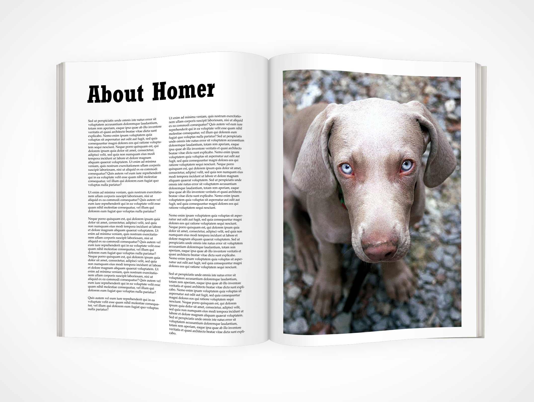 Full Spread Magazine Mockup 4r3