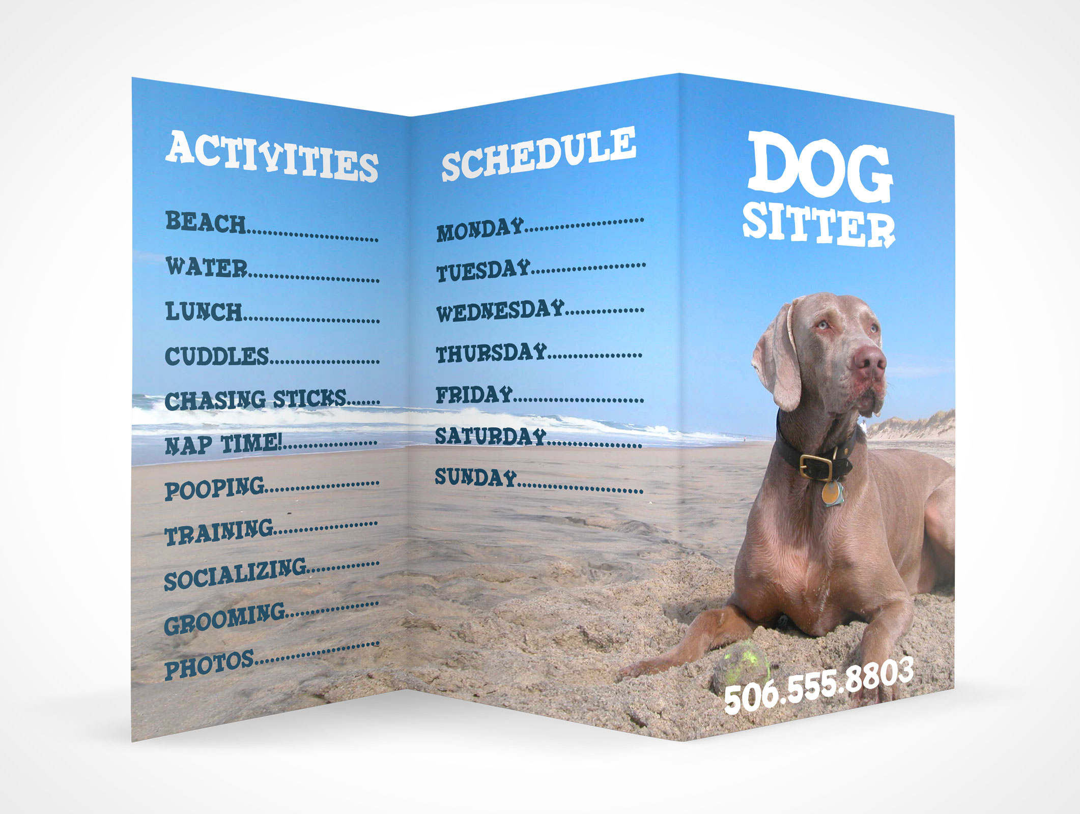 Tri-Fold Brochure Mockup 1r4