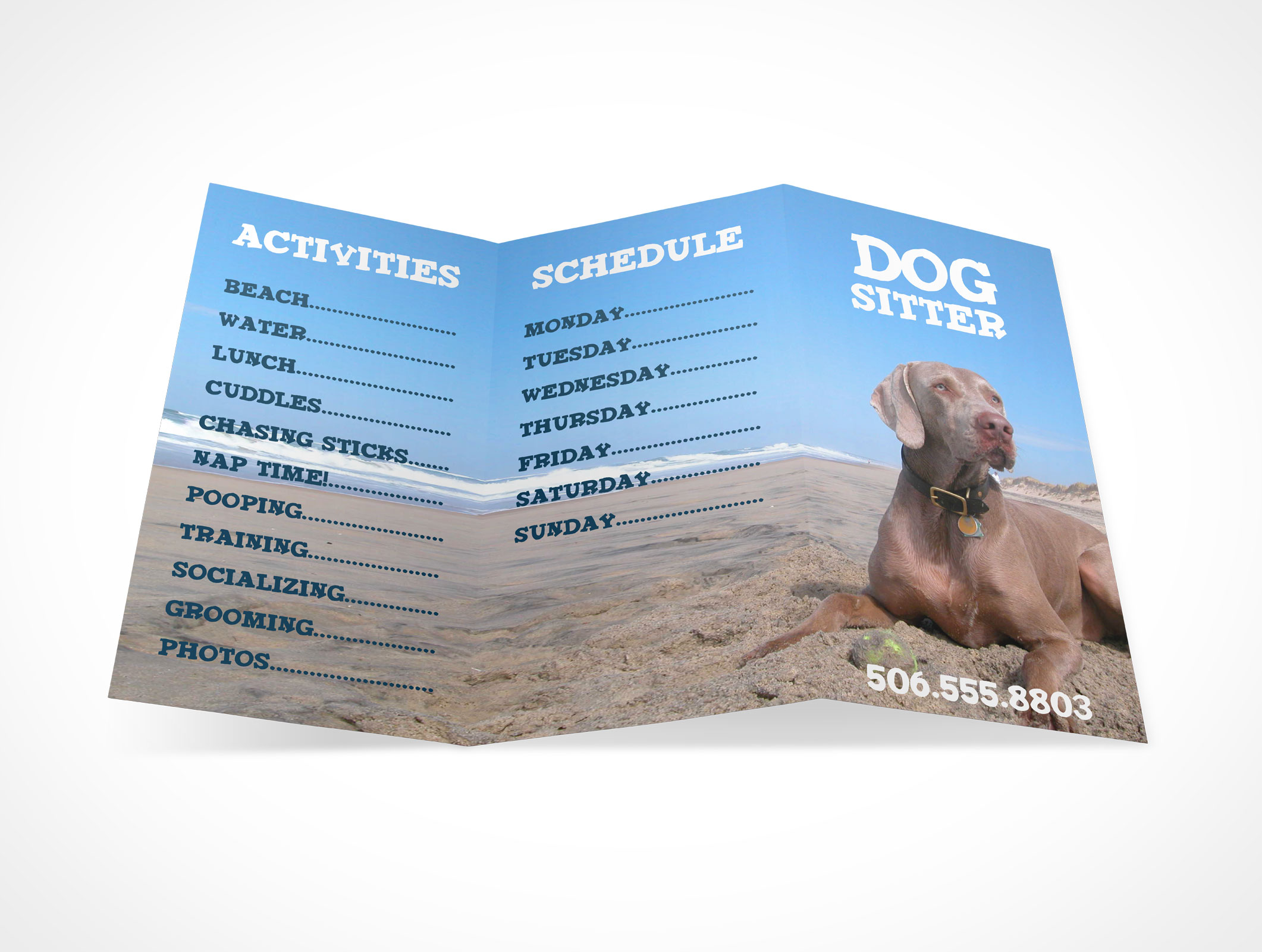 Tri-Fold Brochure Mockup 2r4