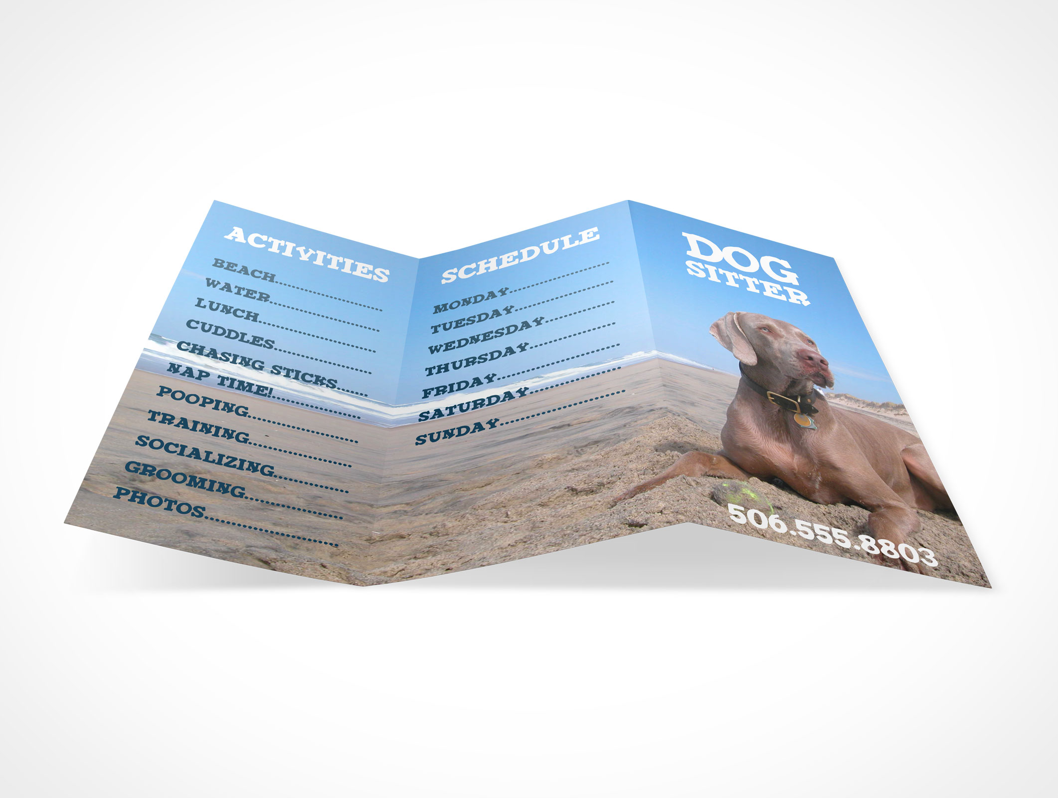 Tri-Fold Brochure Mockup 3r5