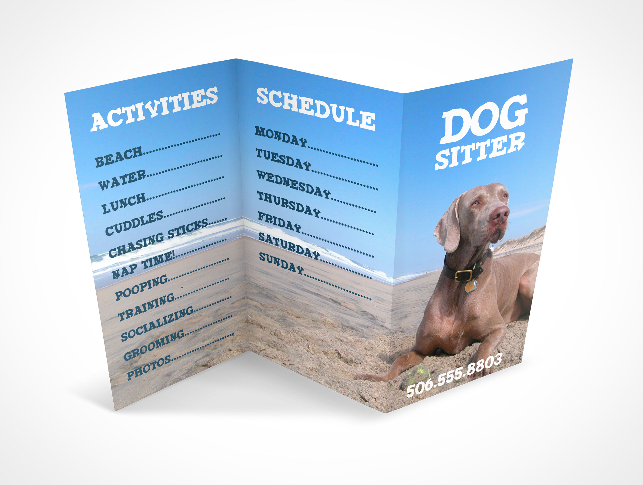 Tri-Fold Brochure Mockup 4r4