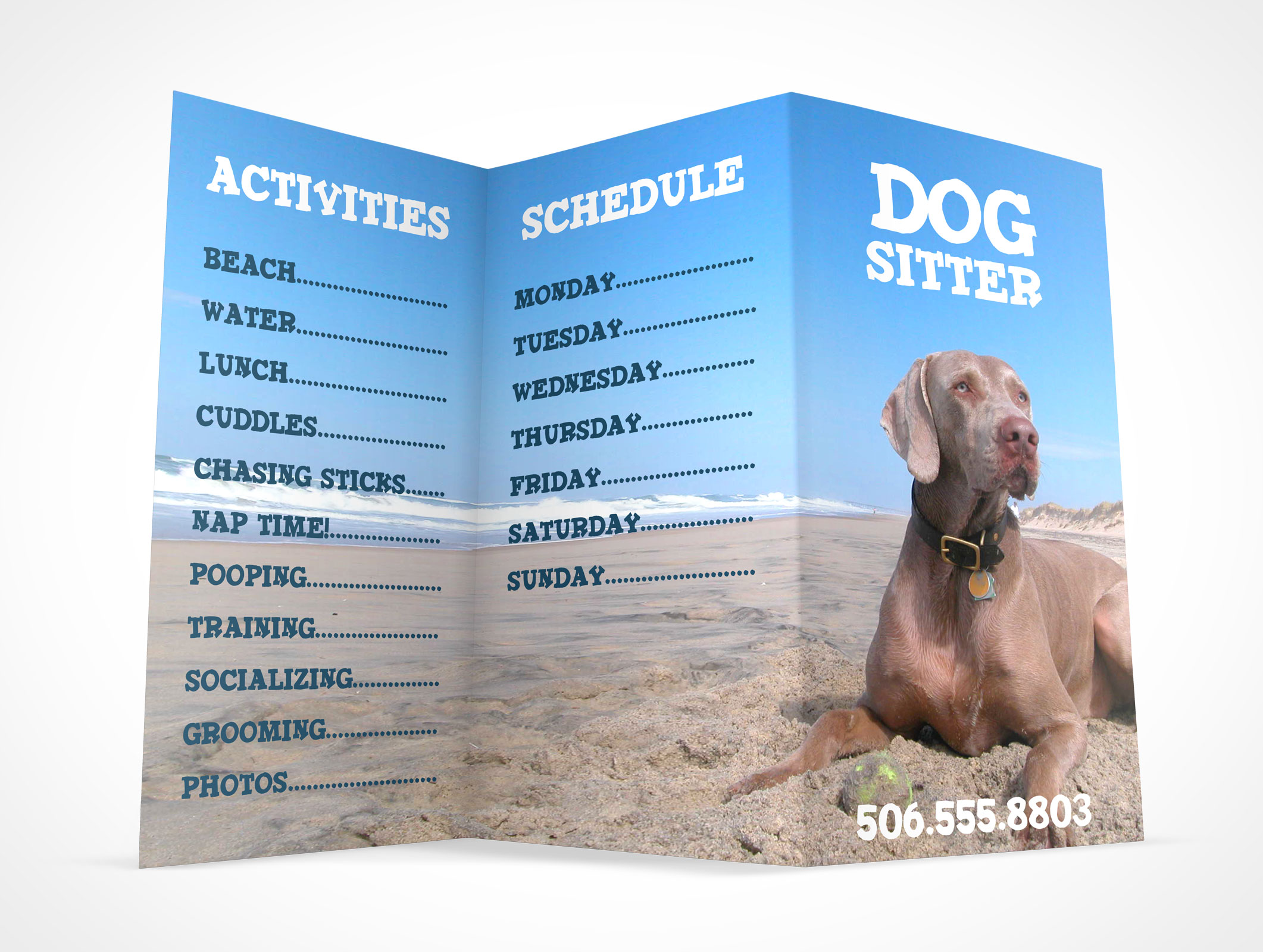 Tri-Fold Brochure Mockup 5r5