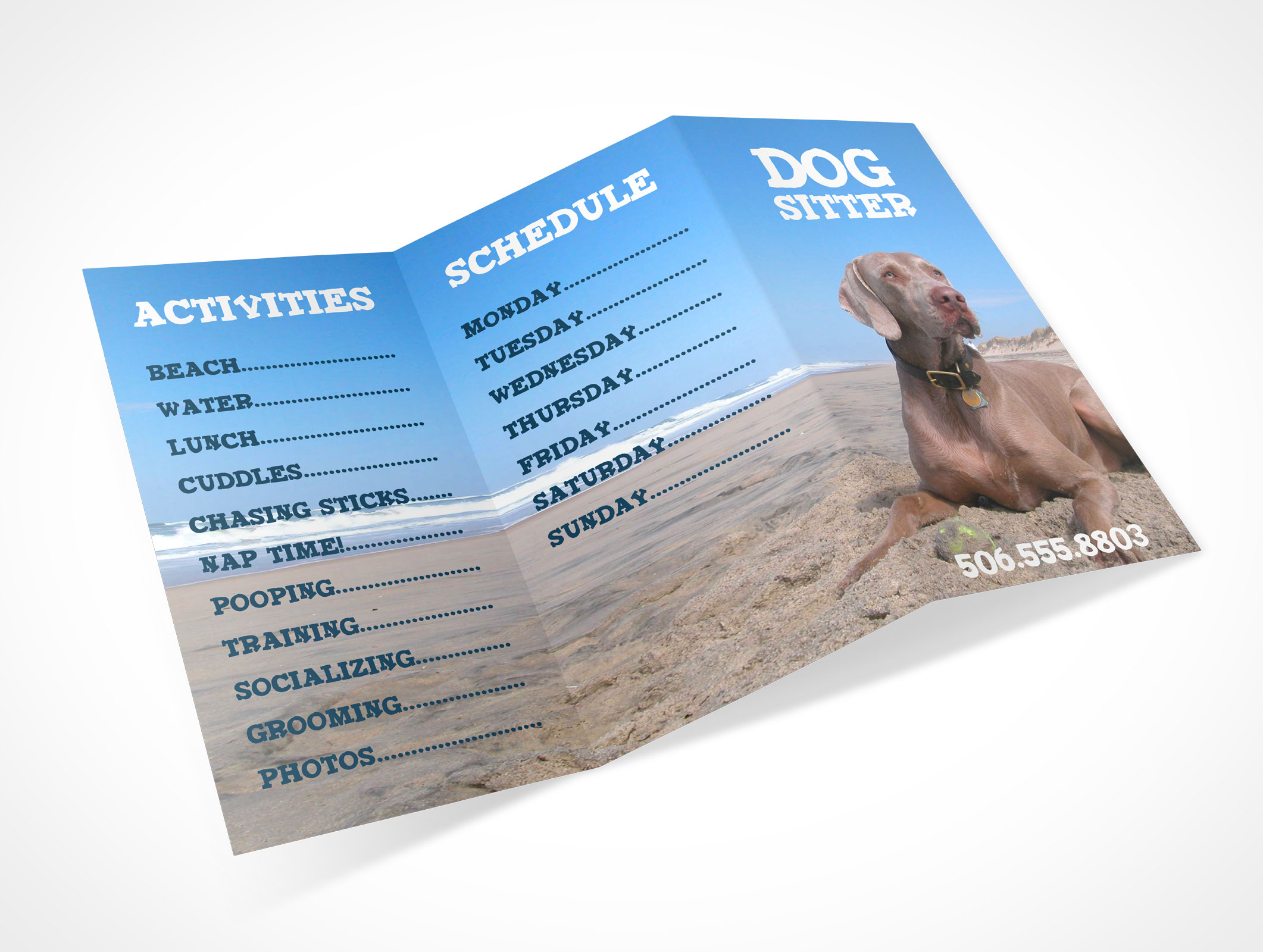 Tri-Fold Brochure Mockup 7r4