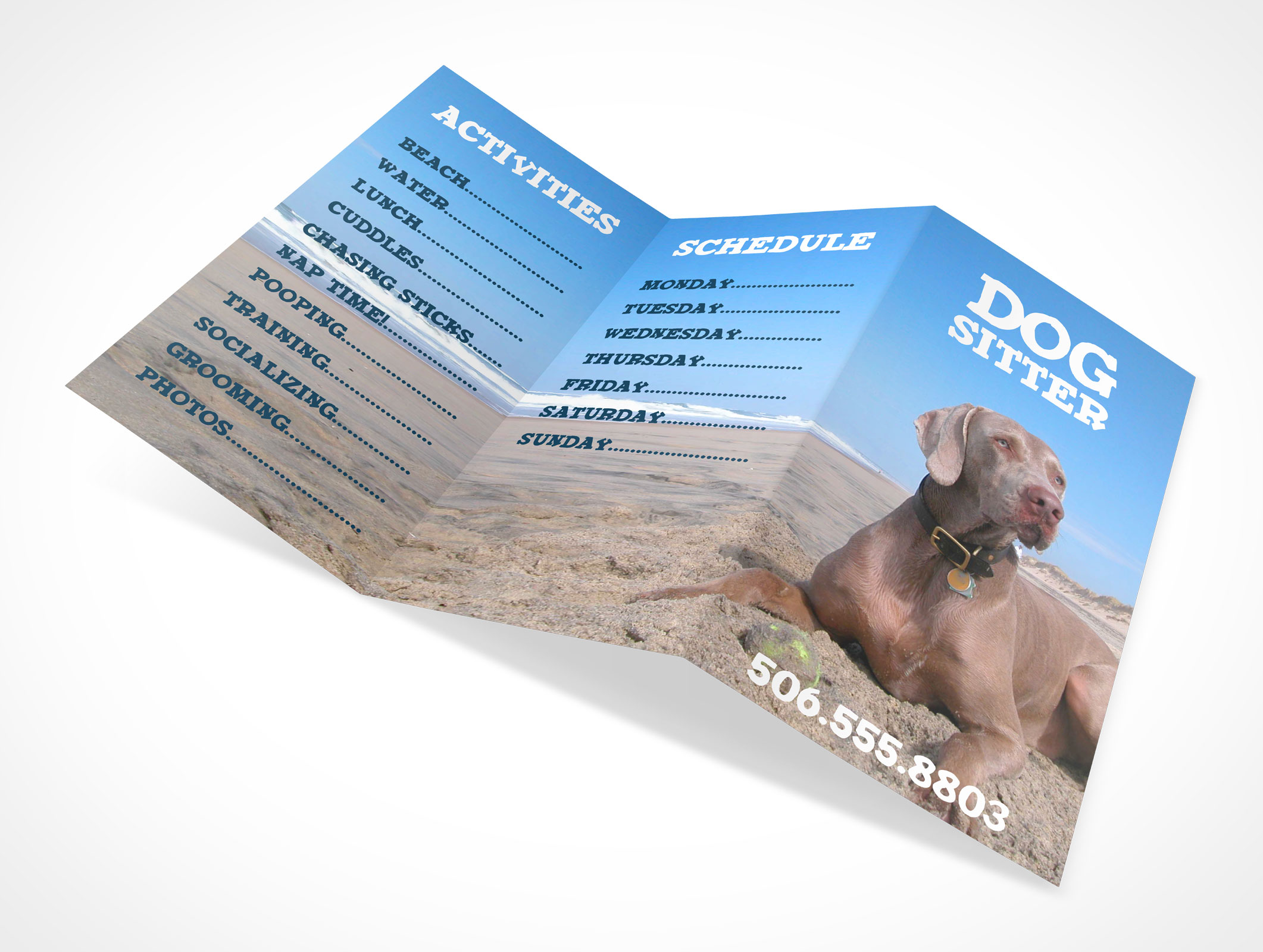 Tri-Fold Brochure Mockup 9r5