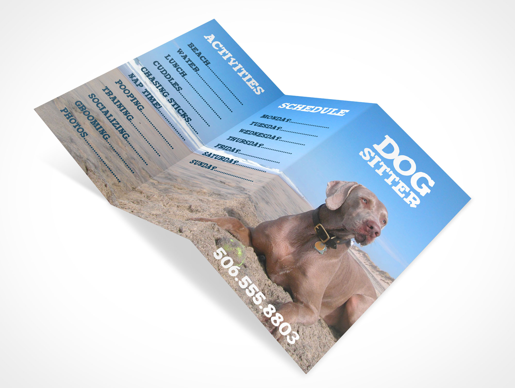 Tri-Fold Brochure Mockup 10r2