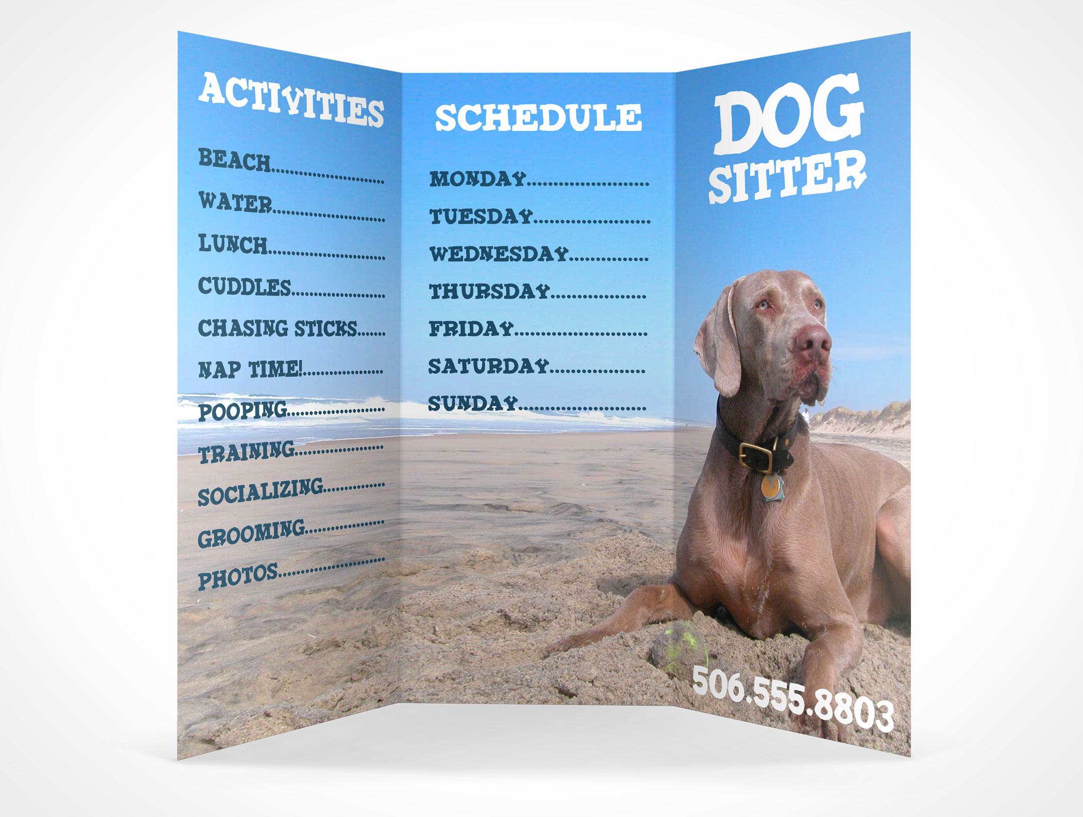 8.5 x 11 Tri-Fold Brochure Mockup 11r2
