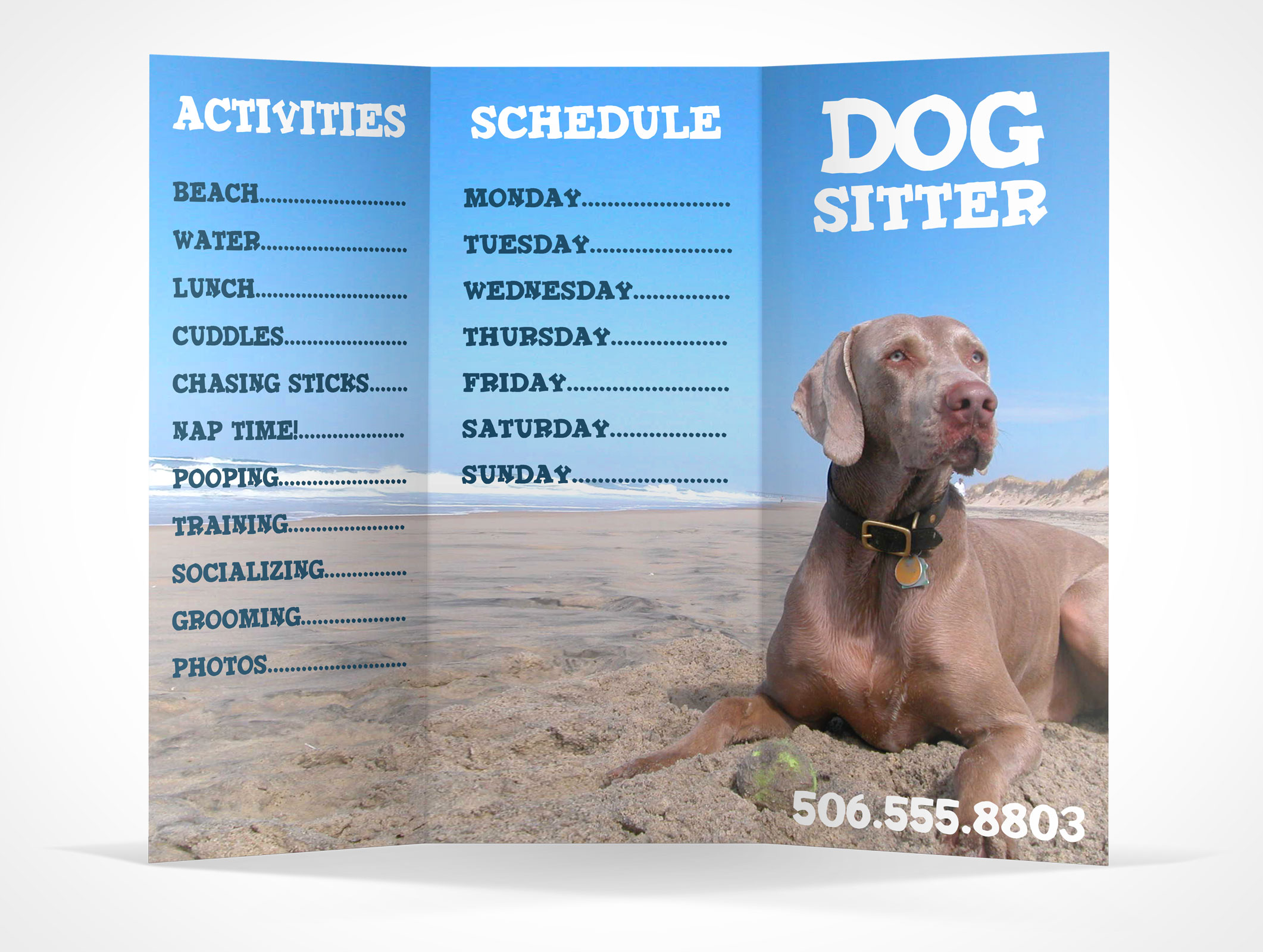8.5 x 11 Tri-Fold Brochure Mockup 12r4