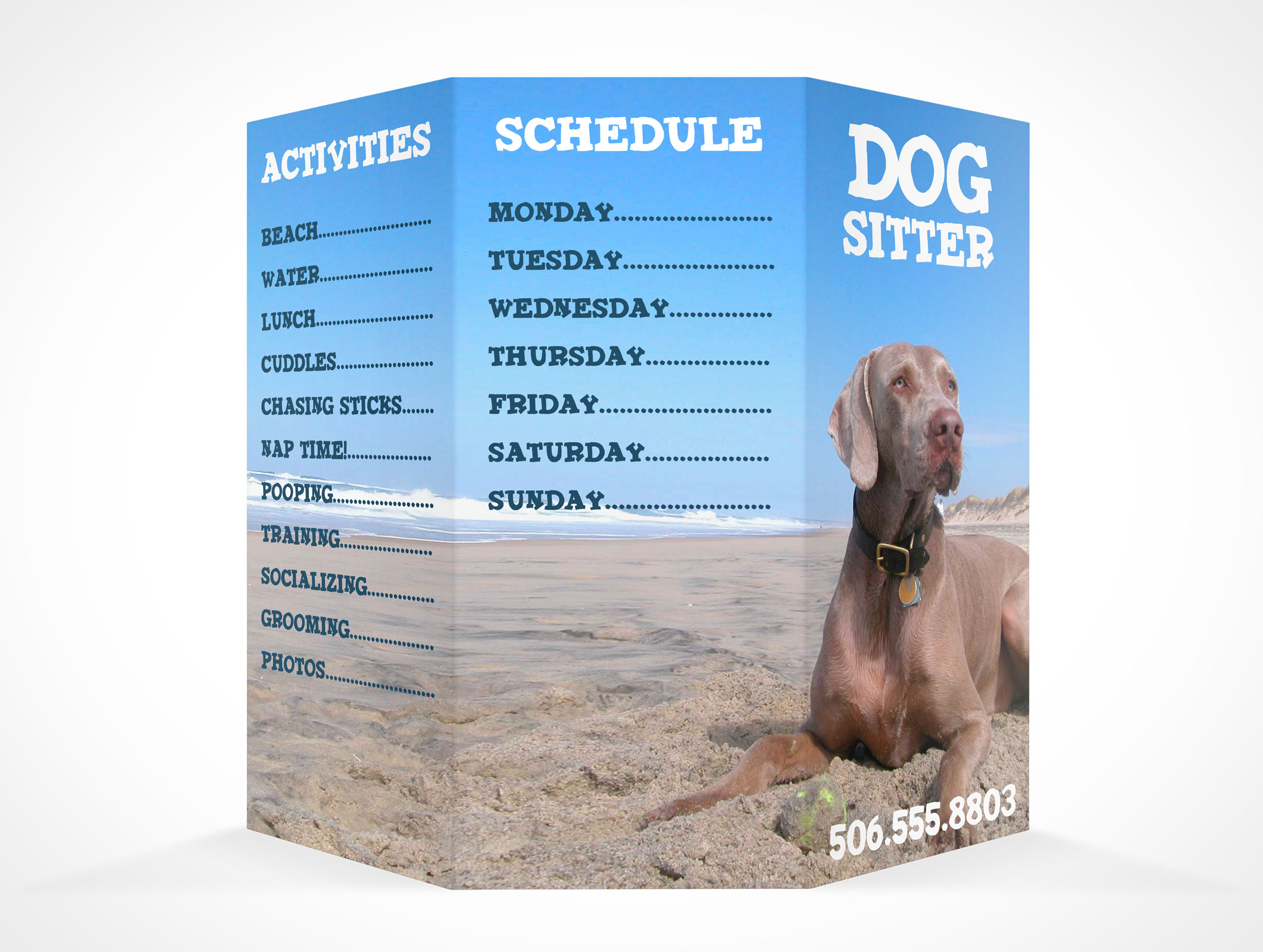 8.5 x 11 Tri-Fold Brochure Mockup 13r4