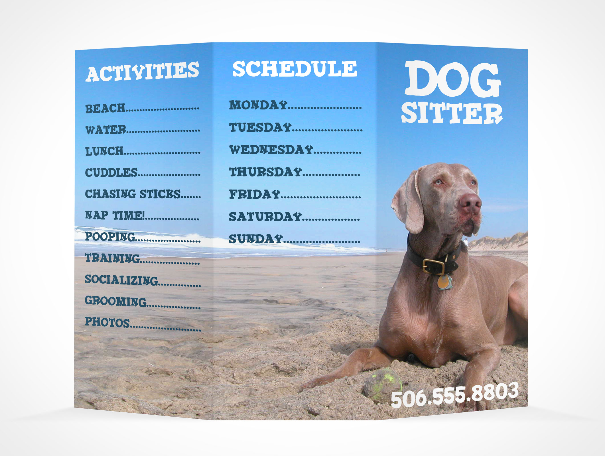 8.5 x 11 Tri-Fold Brochure Mockup 14r4