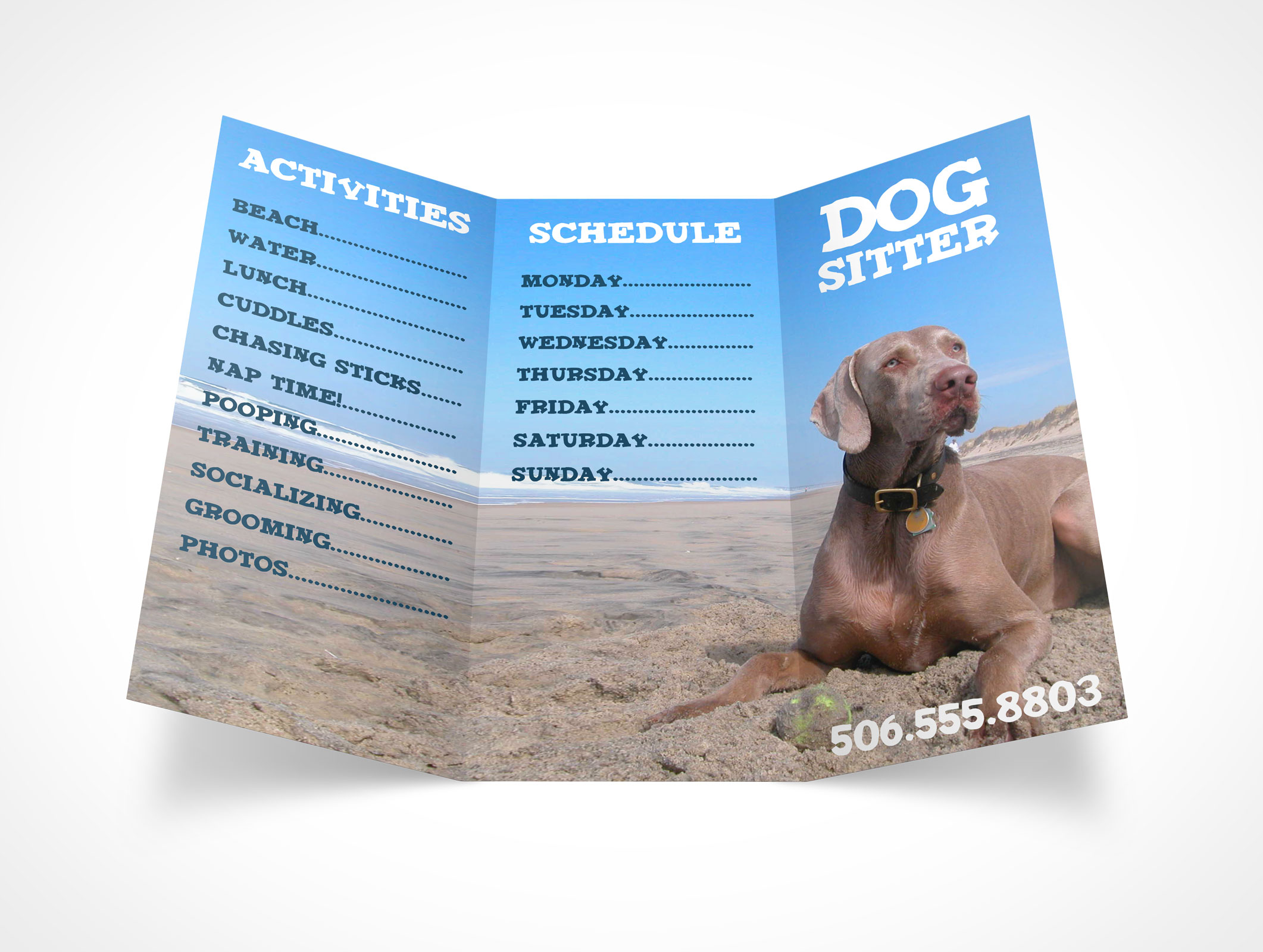 8.5 x 11 Tri-Fold Brochure Mockup 15r4