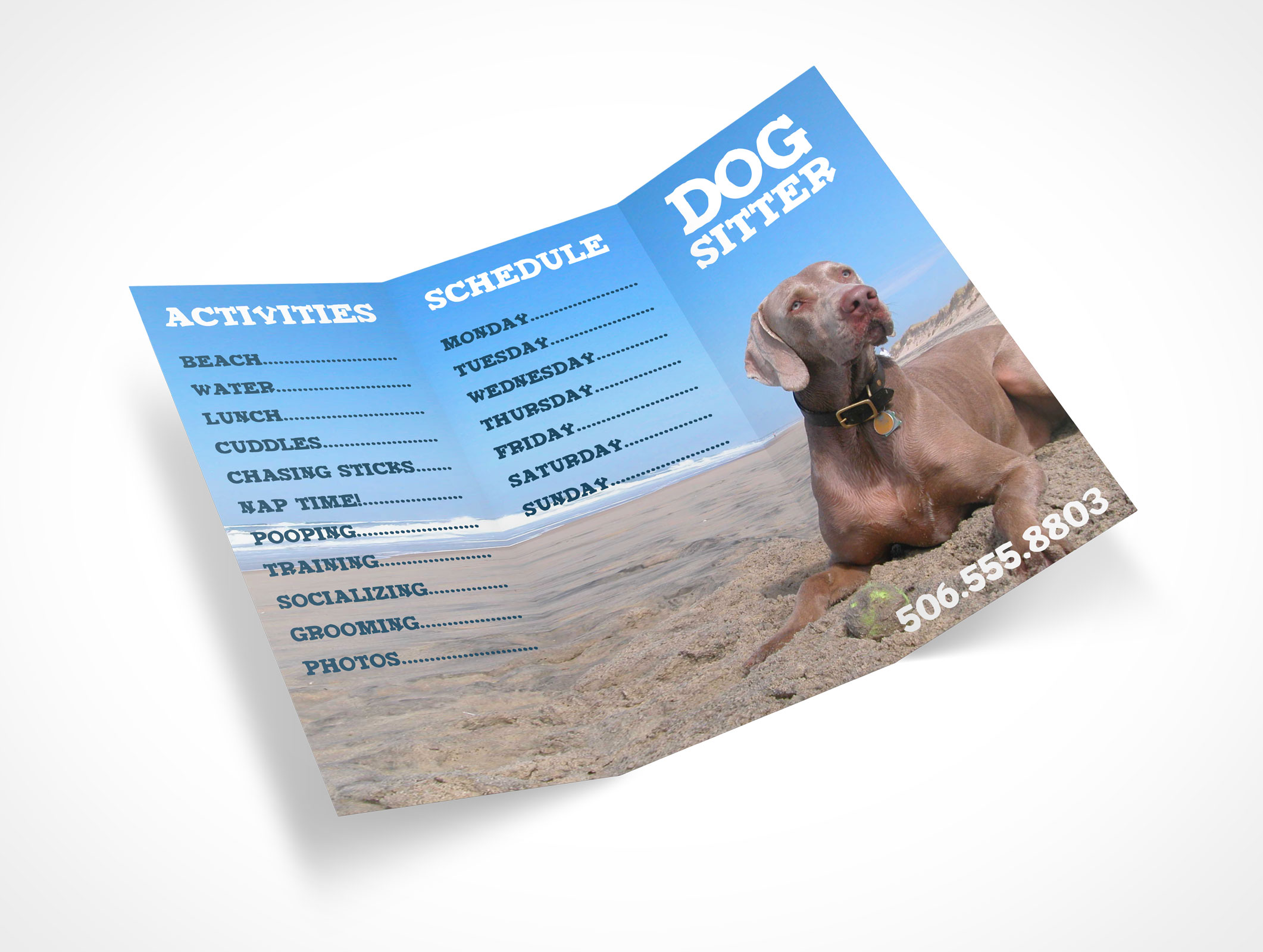 8.5 x 11 Tri-Fold Brochure Mockup 16r3