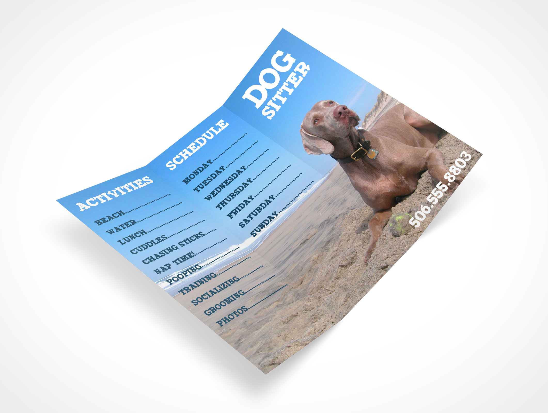 8.5 x 11 Tri-Fold Brochure Mockup 17r3