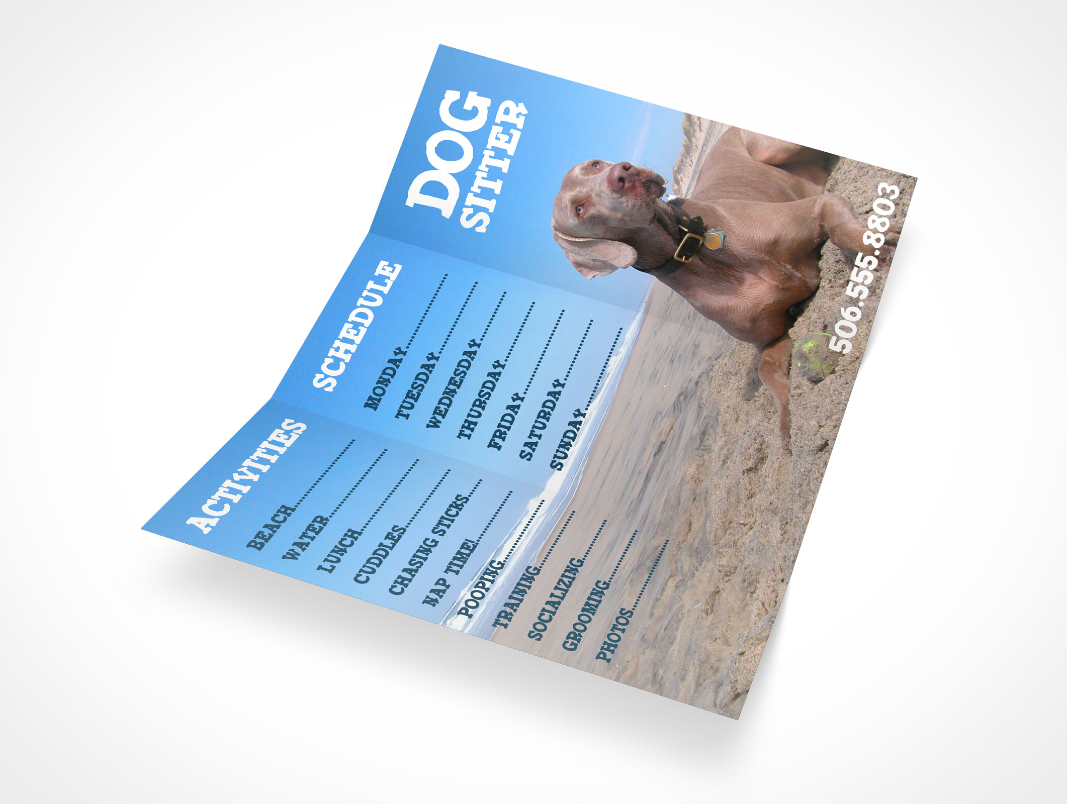 8.5 x 11 Tri-Fold Brochure Mockup 18r4