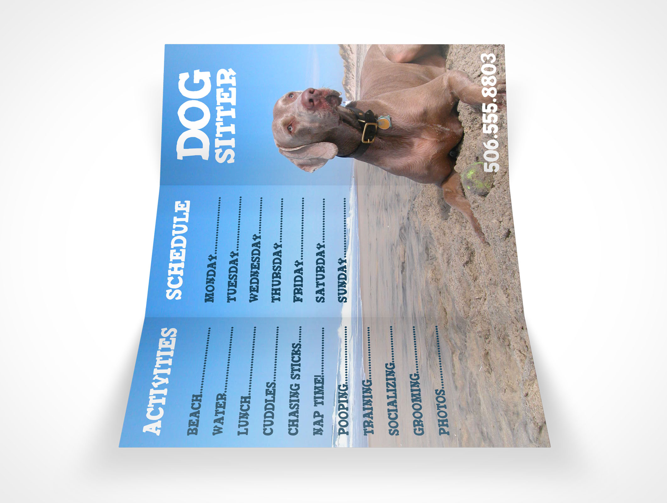 8.5 x 11 Tri-Fold Brochure Mockup 19r4