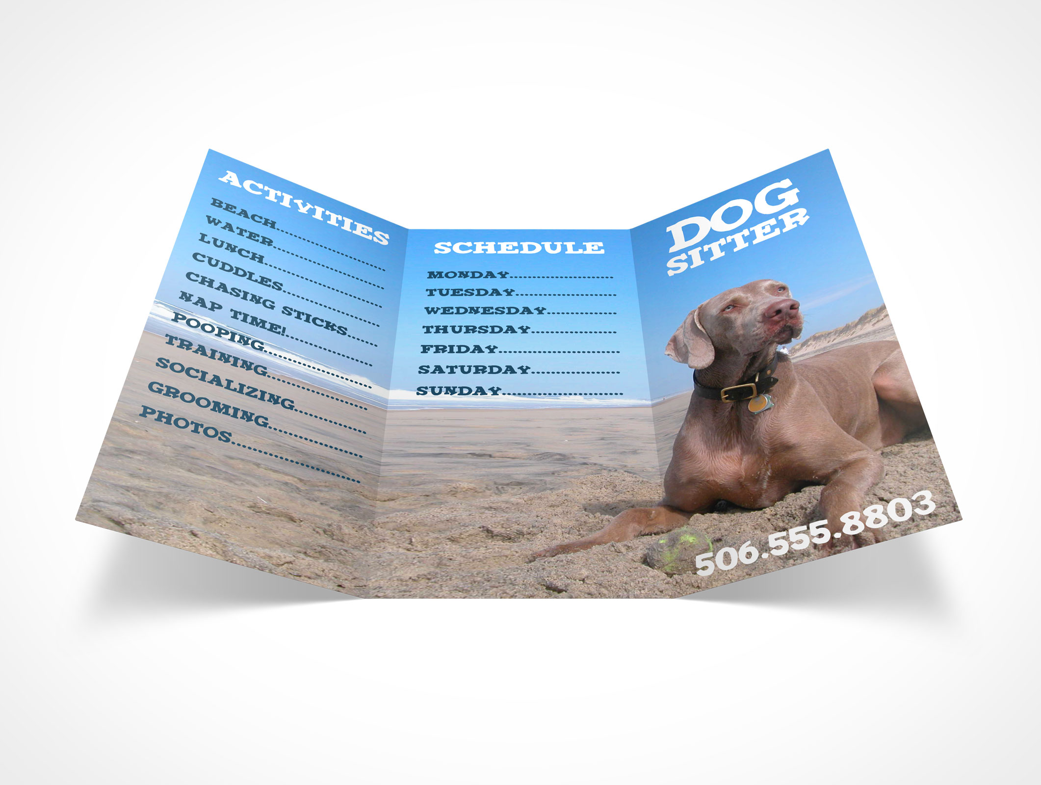 8.5 x 11 Tri-Fold Brochure Mockup 20r4