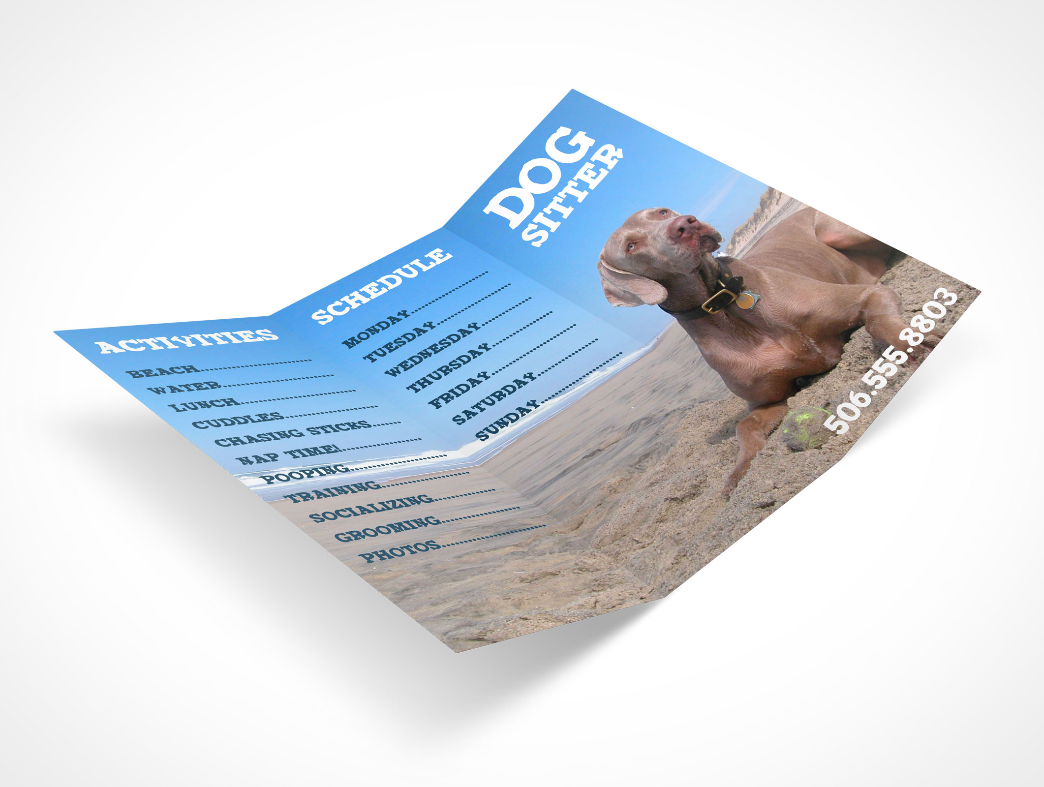 8.5 x 11 Tri-Fold Brochure Mockup 22r2