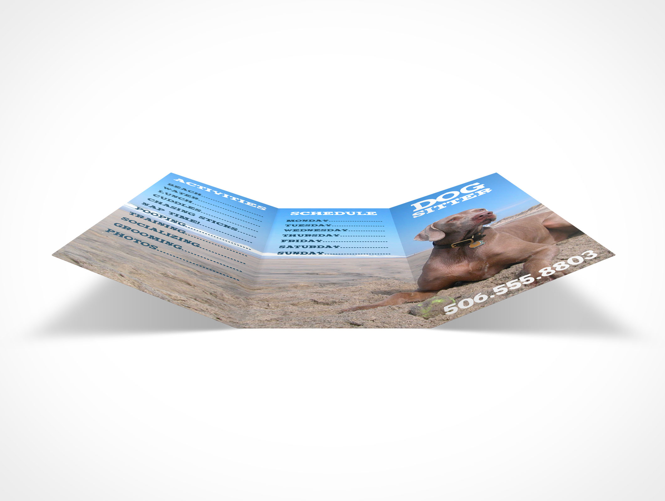 8.5 x 11 Tri-Fold Brochure Mockup 23r3