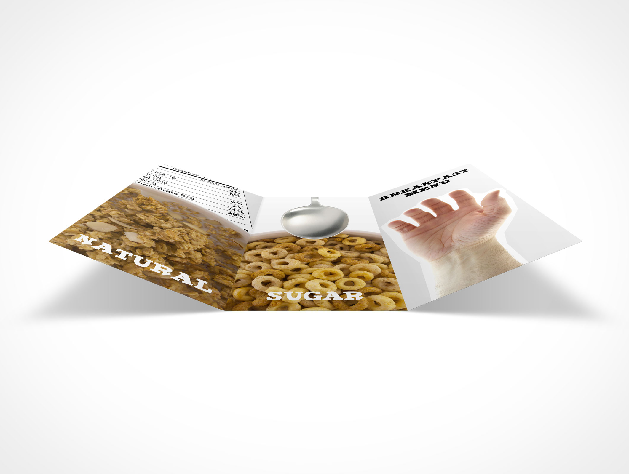 8.5 x 11 Tri-Fold Brochure Mockup 23r4