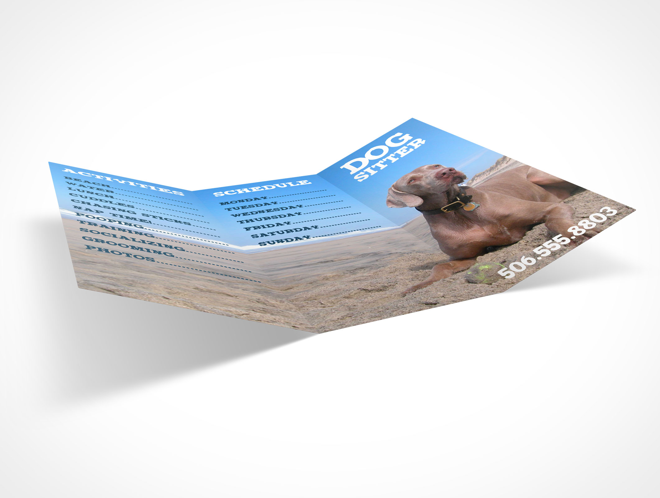 8.5 x 11 Tri-Fold Brochure Mockup 24r5