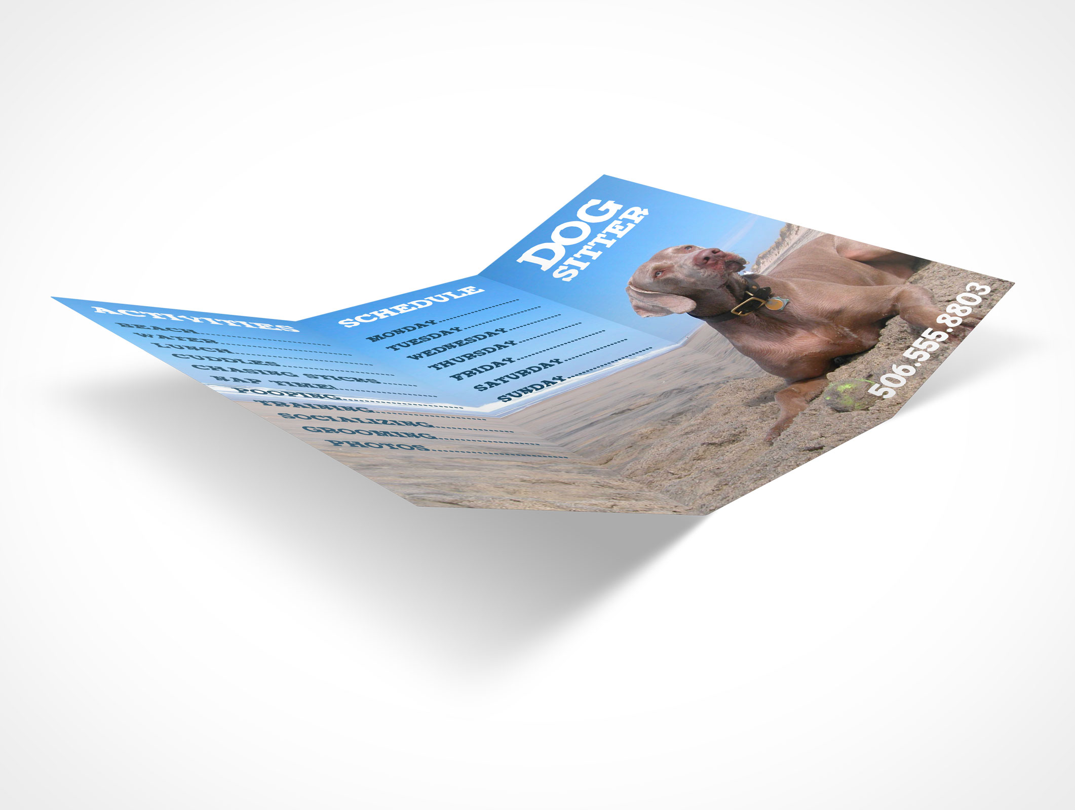 8.5 x 11 Tri-Fold Brochure Mockup 25r3
