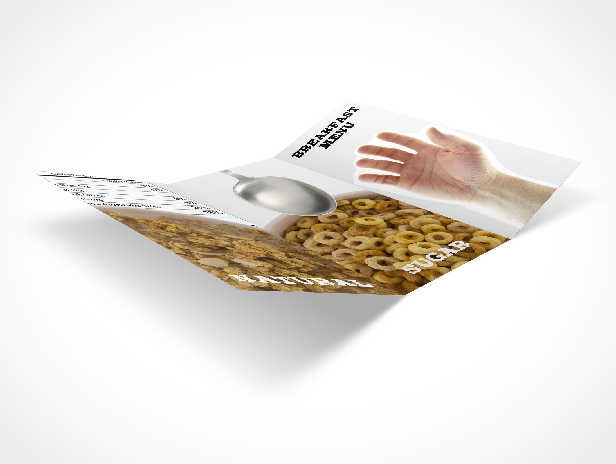 8.5 x 11 Tri-Fold Brochure Mockup 25r4