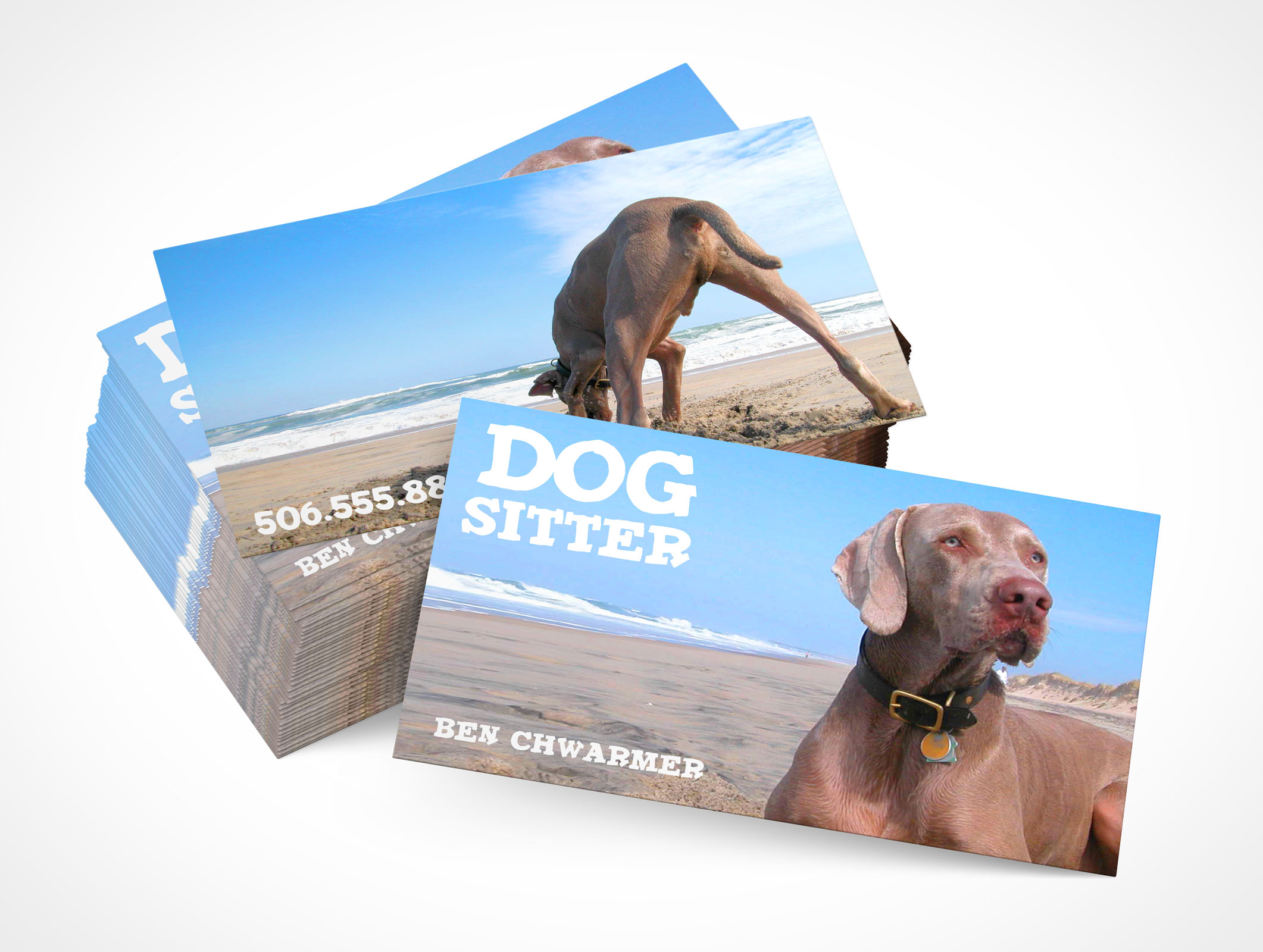 Business Card Mockup 1r4