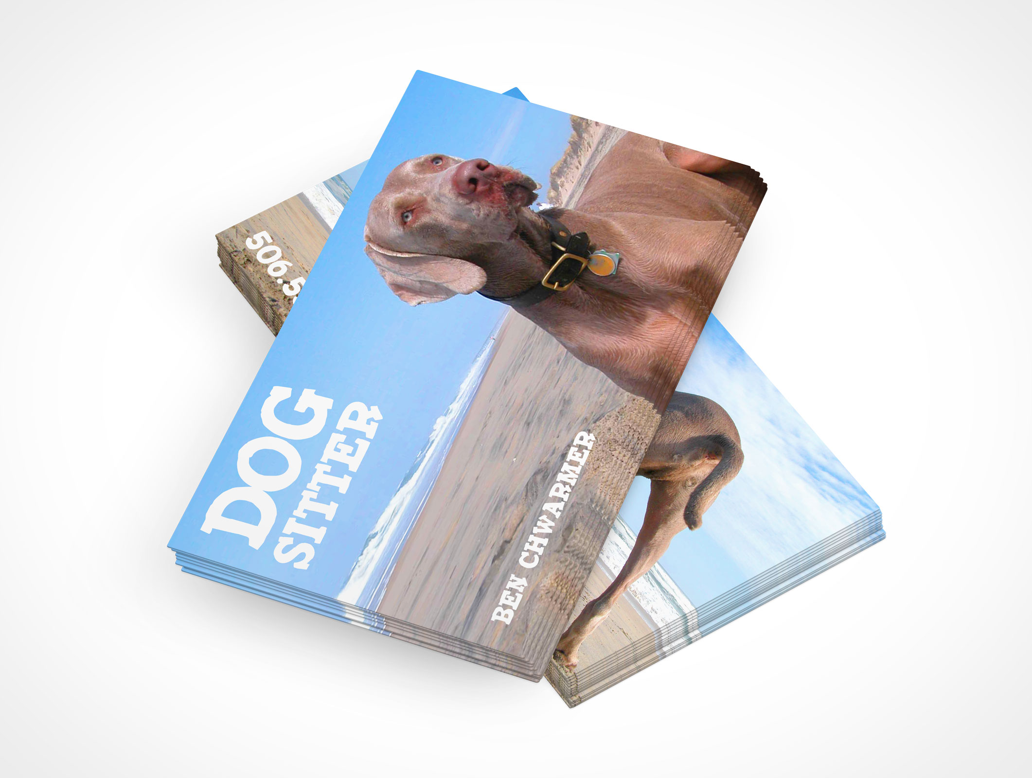 Business Card Mockup 3r3